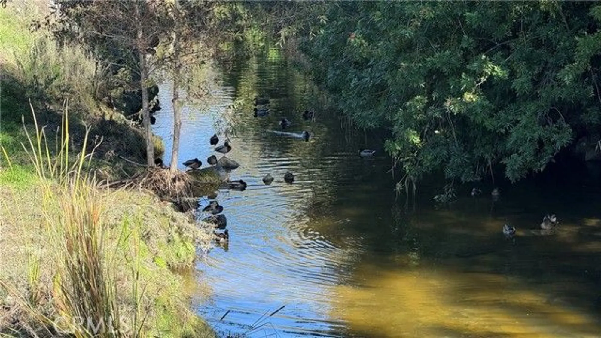 Property Slideshow image 15 of 58 | 898 ronda sevilla n, Laguna Woods, CA, 92637