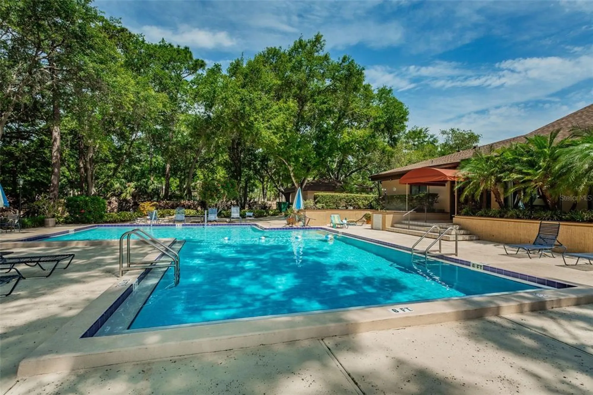 Property Slideshow image 80 of 85 | 3062 eastland blvd 105, Clearwater, FL, 33761