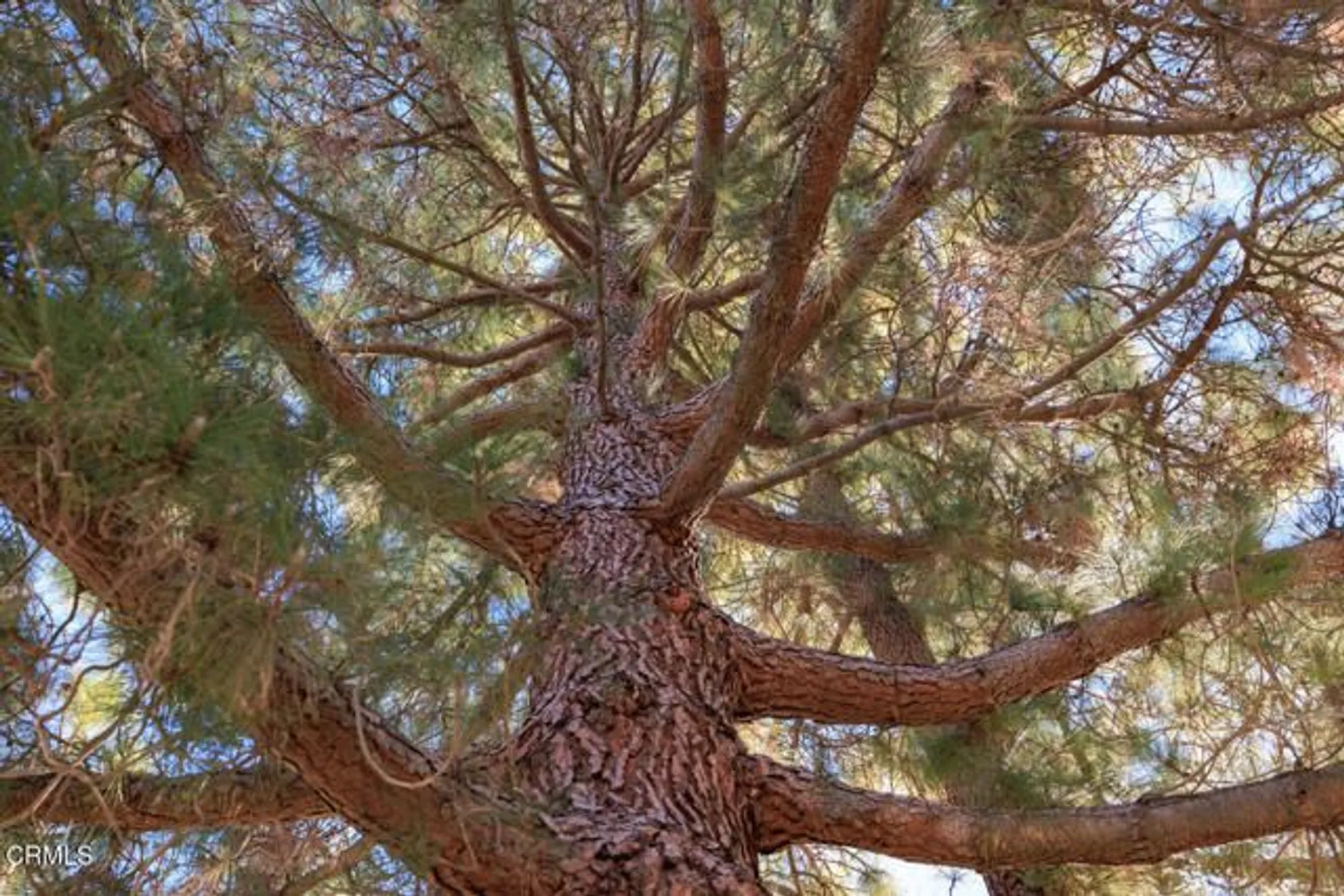 Property Slideshow image 39 of 76 | 13325 village 13, Camarillo, CA, 93012