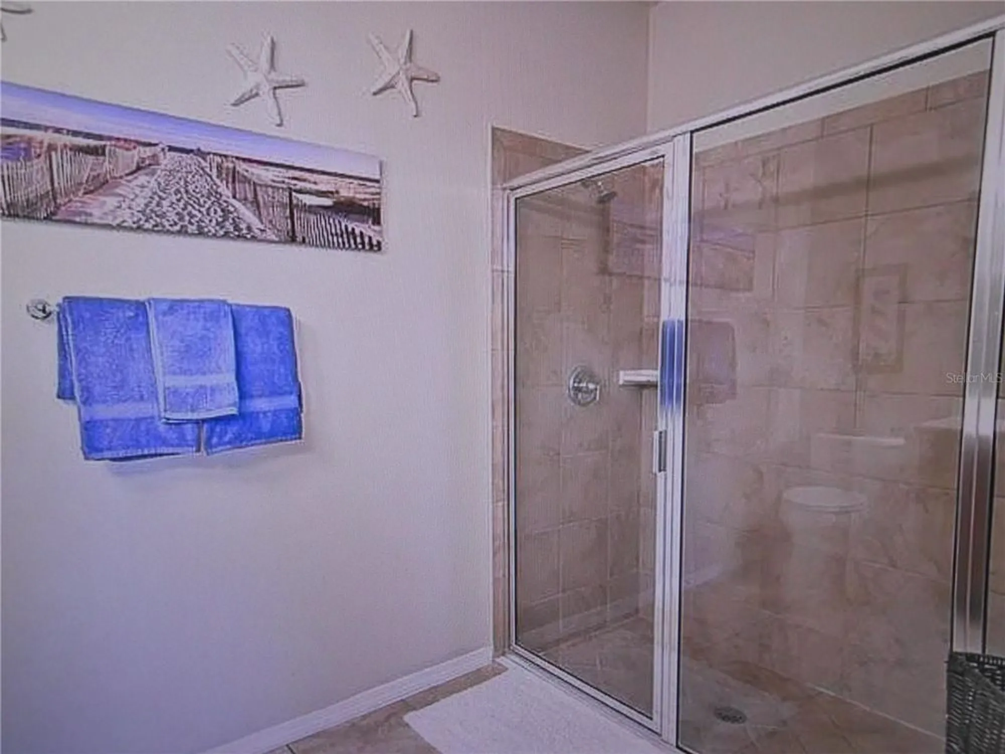 Property Slideshow image 51 of 61 | 344 mystic falls dr, Apollo Beach, FL, 33572