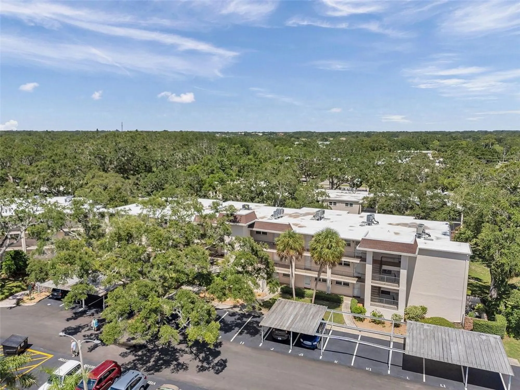 Property Slideshow image 32 of 36 | 870 virginia st apt 113, Dunedin, FL, 34698