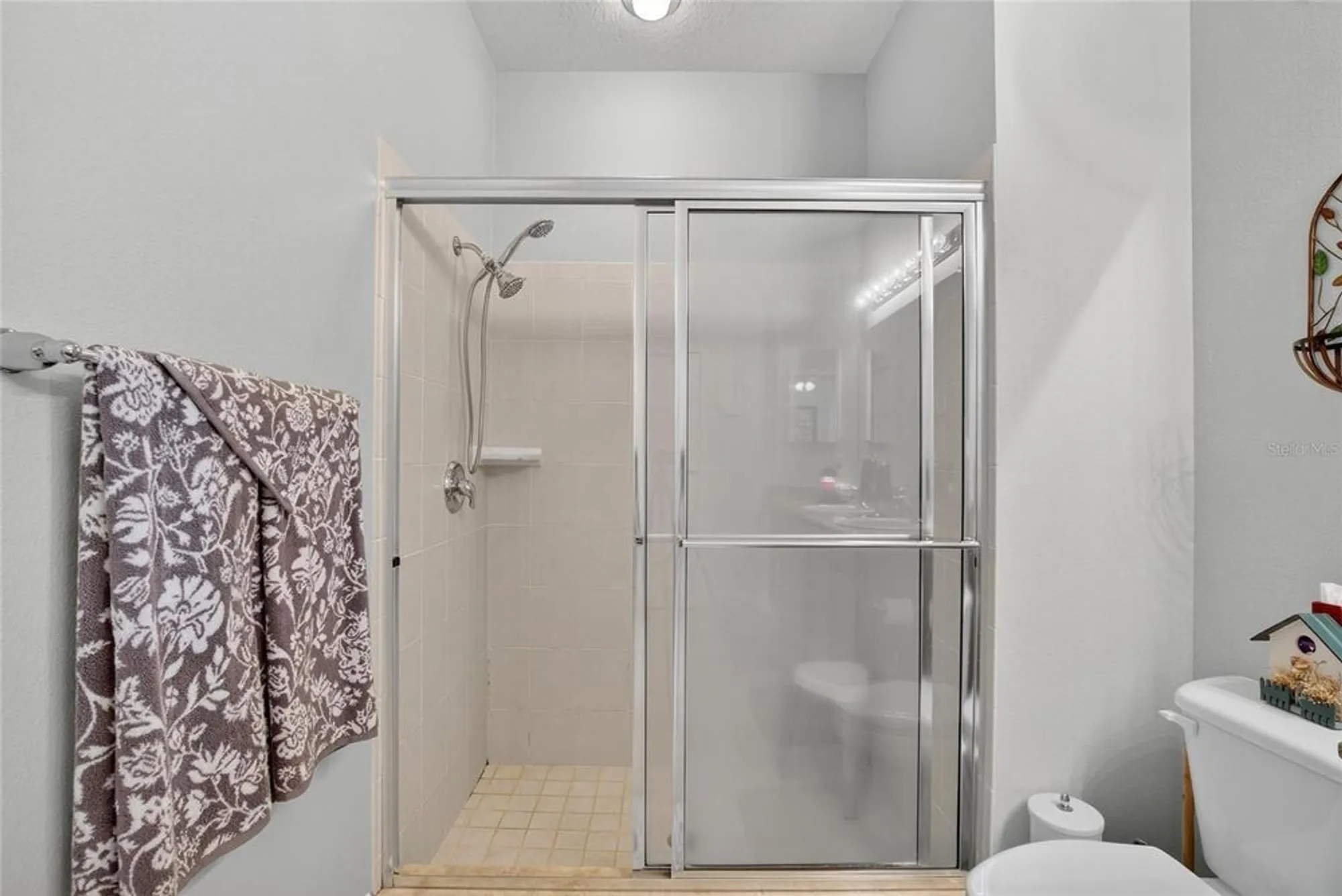 Property Slideshow image 26 of 58 | 307 bluewater falls ct, Apollo Beach, FL, 33572