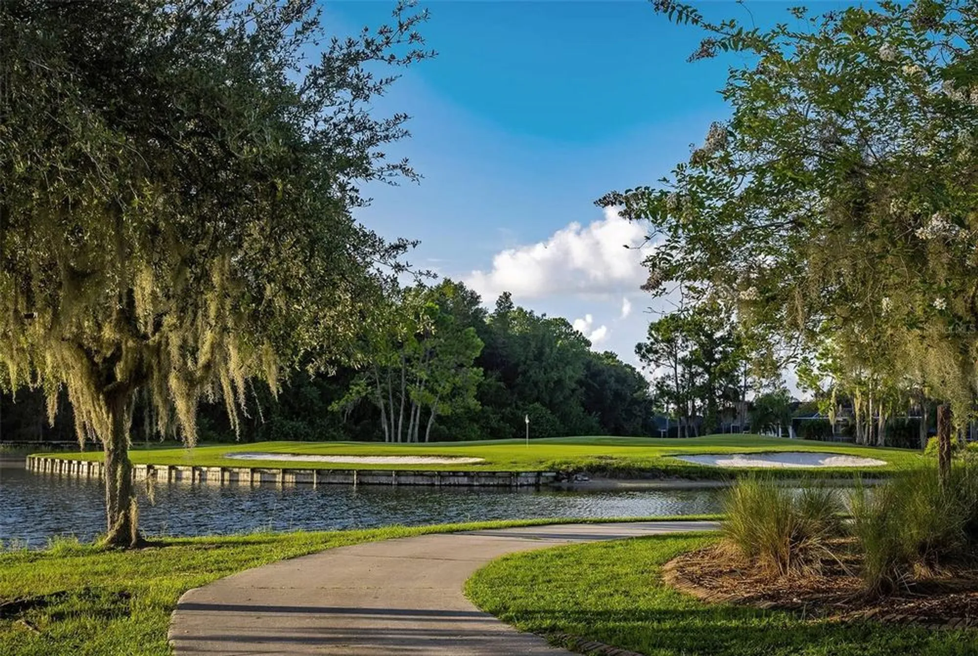 Property Slideshow image 65 of 66 | 1249 winding willow dr, Trinity, FL, 34655