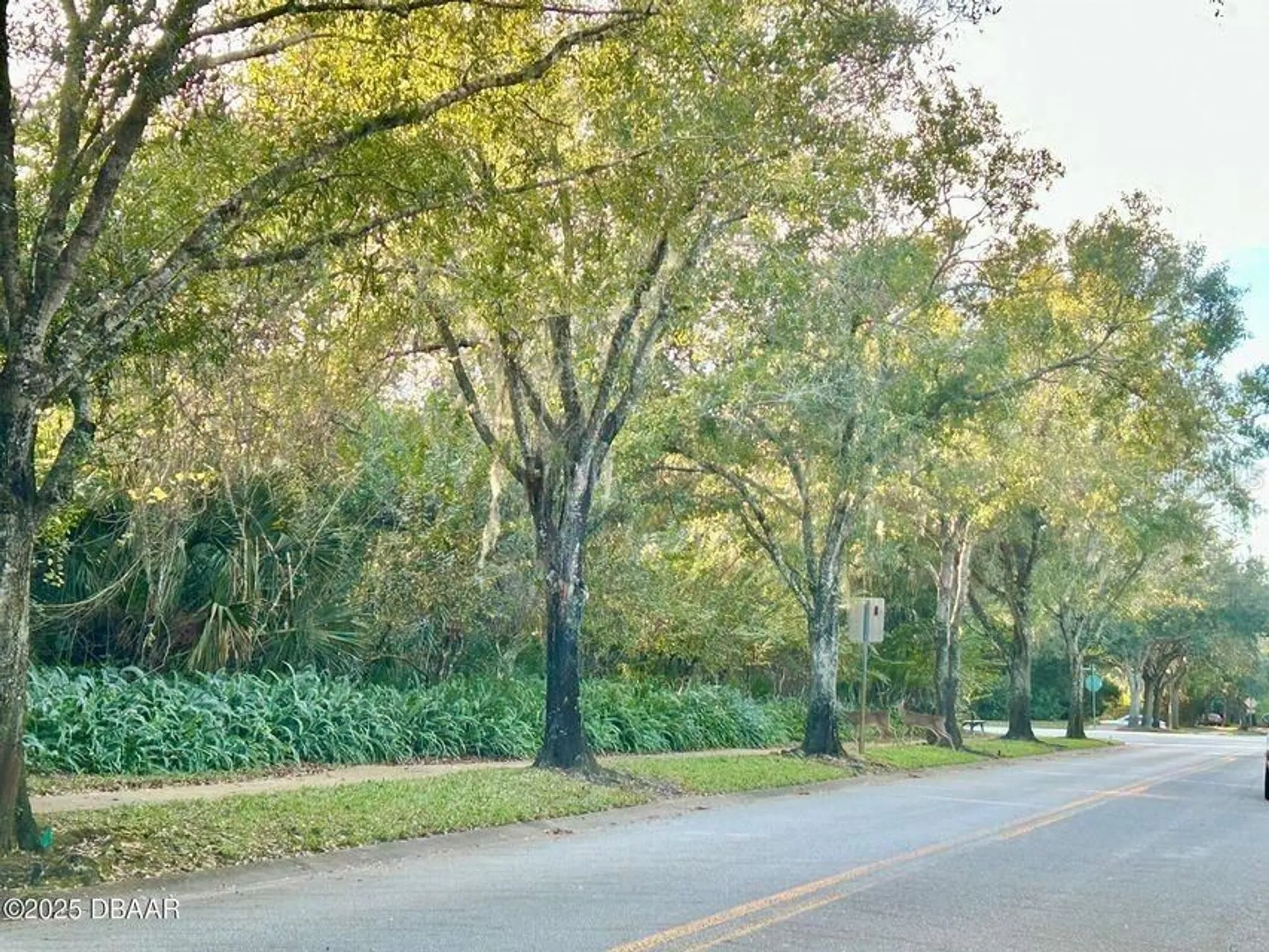 Property Slideshow image 57 of 59 | 3787 carrick dr, Ormond Beach, FL, 32174