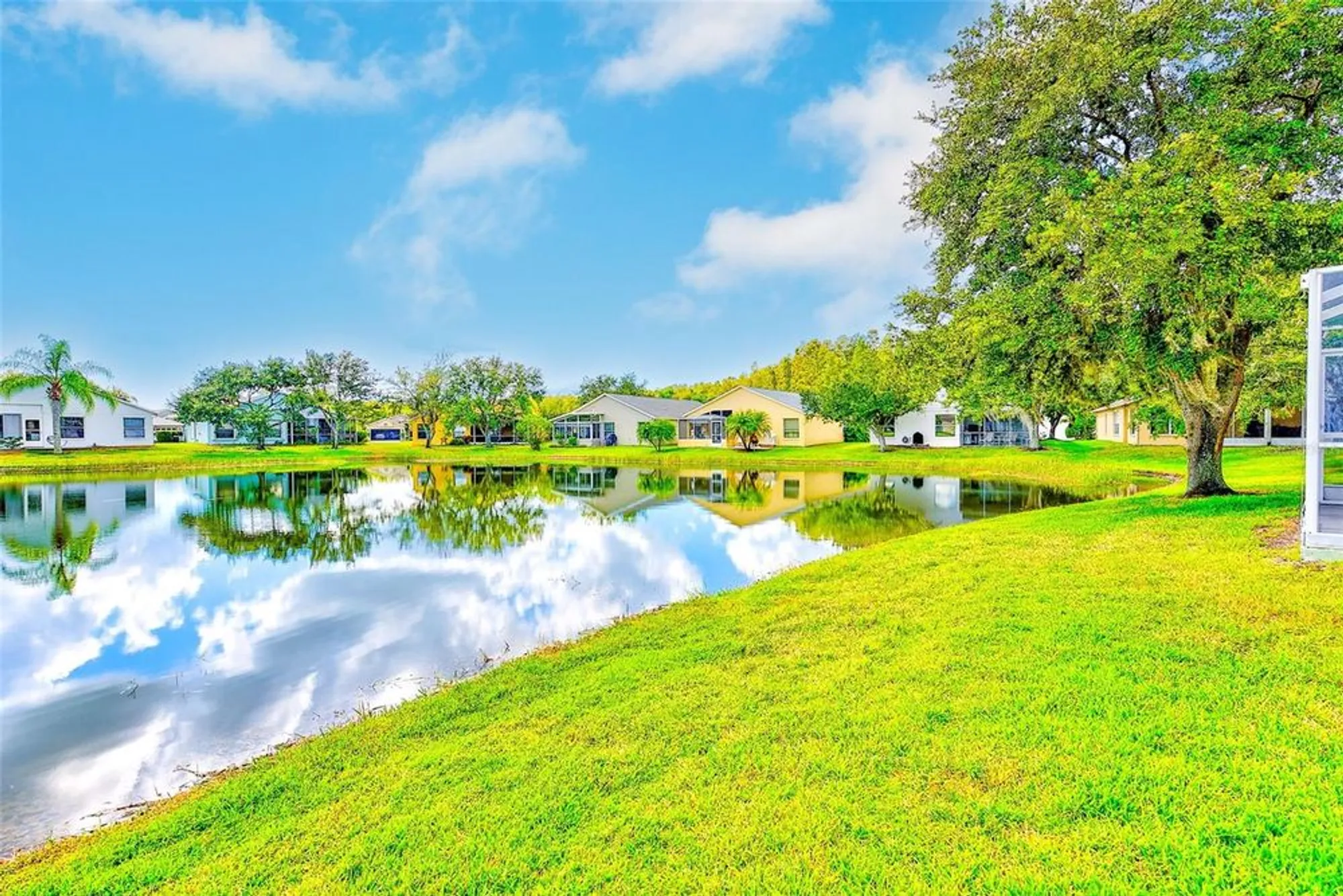 Property Slideshow image 26 of 37 | 11600 weaver park ct, Trinity, FL, 34655