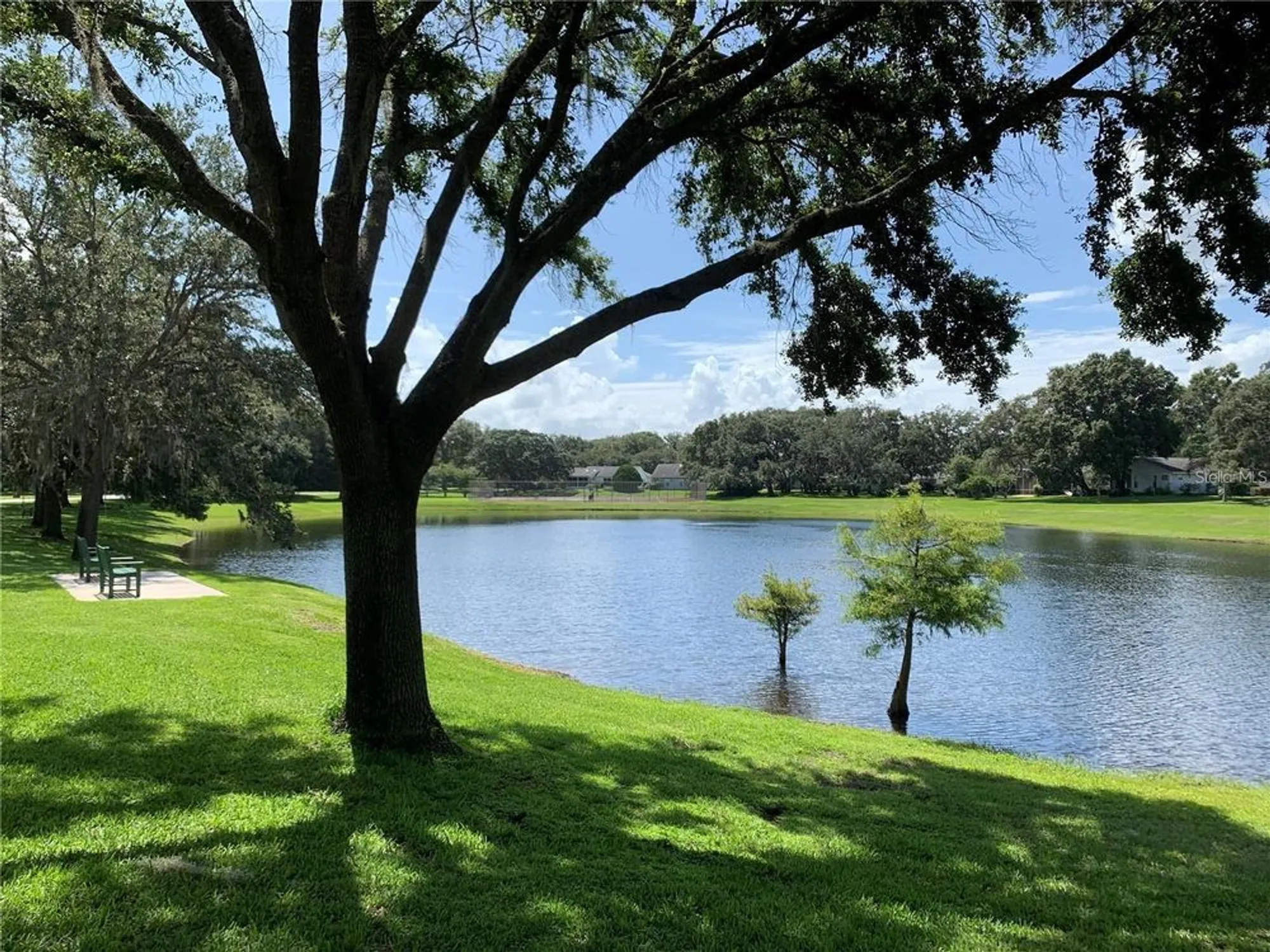Property Slideshow image 53 of 57 | 10 brigadoon cir, Leesburg, FL, 34788