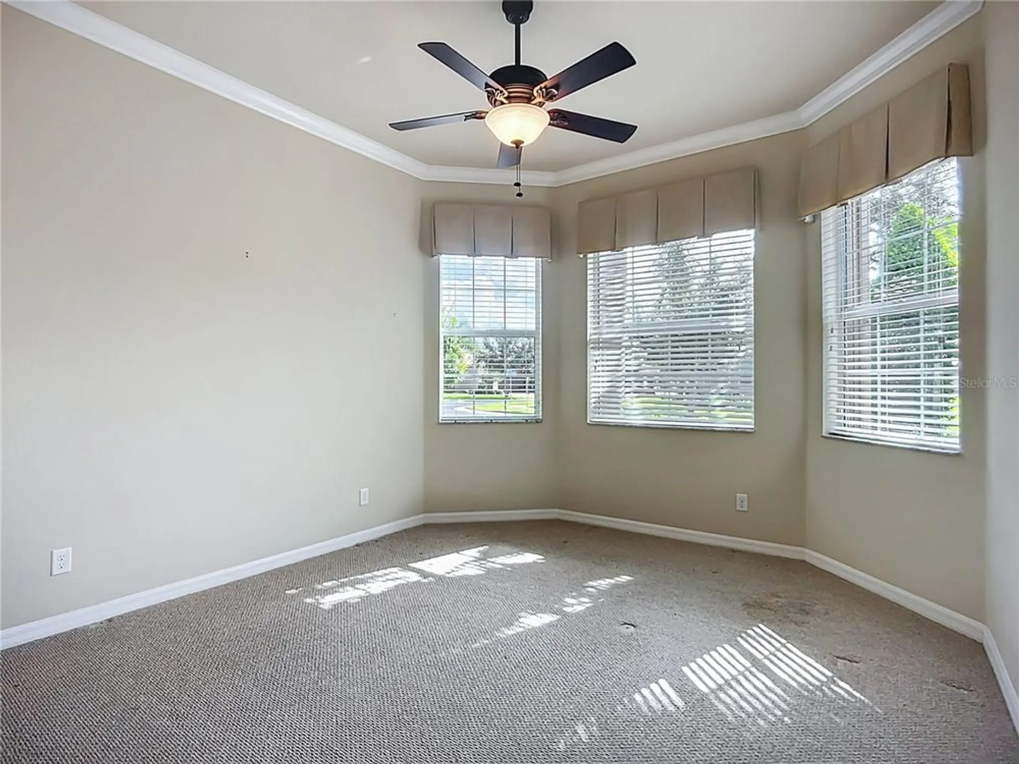 Property Slideshow image 33 of 80 | 16113 cape coral dr, Wimauma, FL, 33598