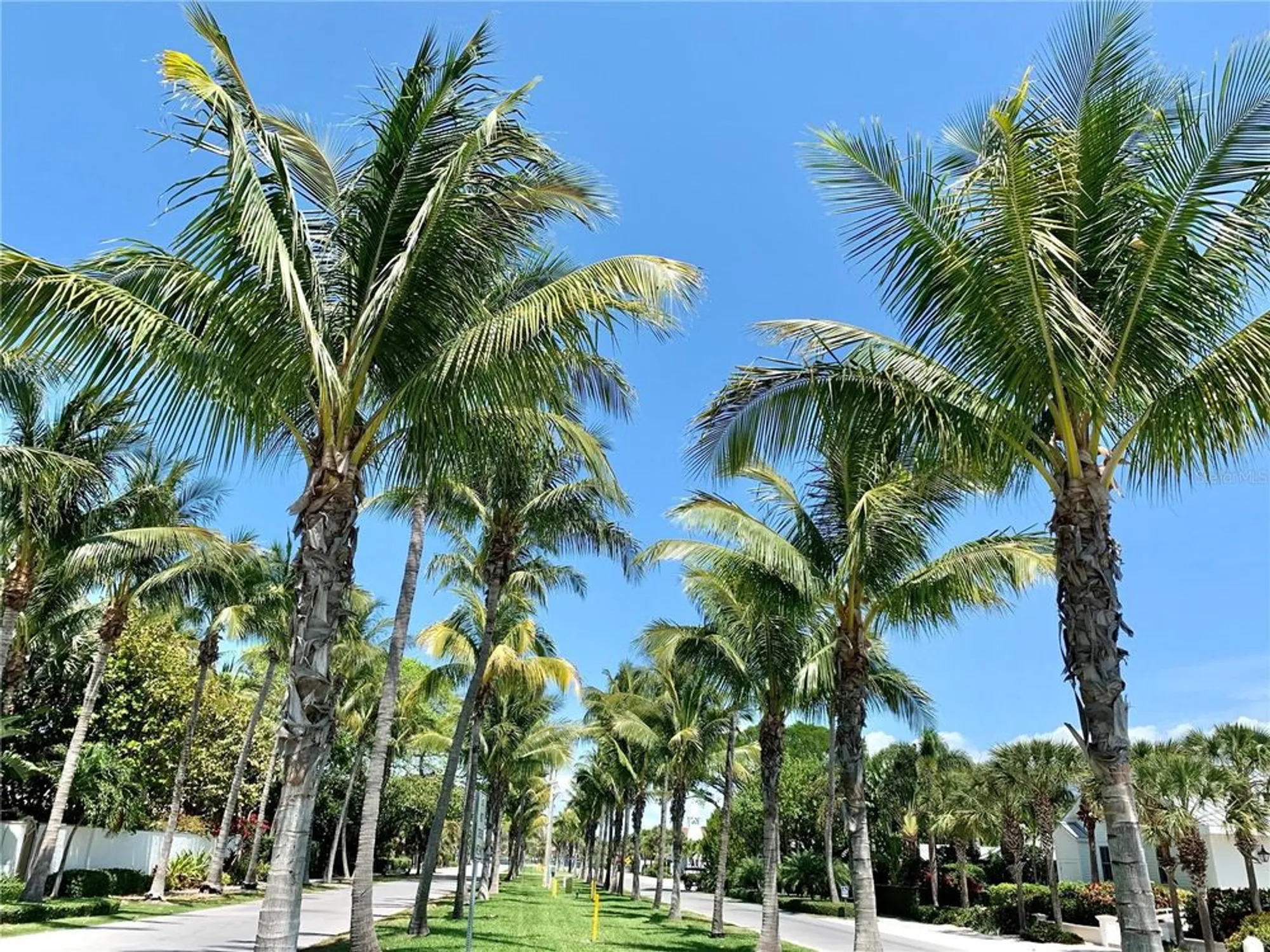 Property Slideshow image 98 of 100 | 5679 ferrara dr, Sarasota, FL, 34238