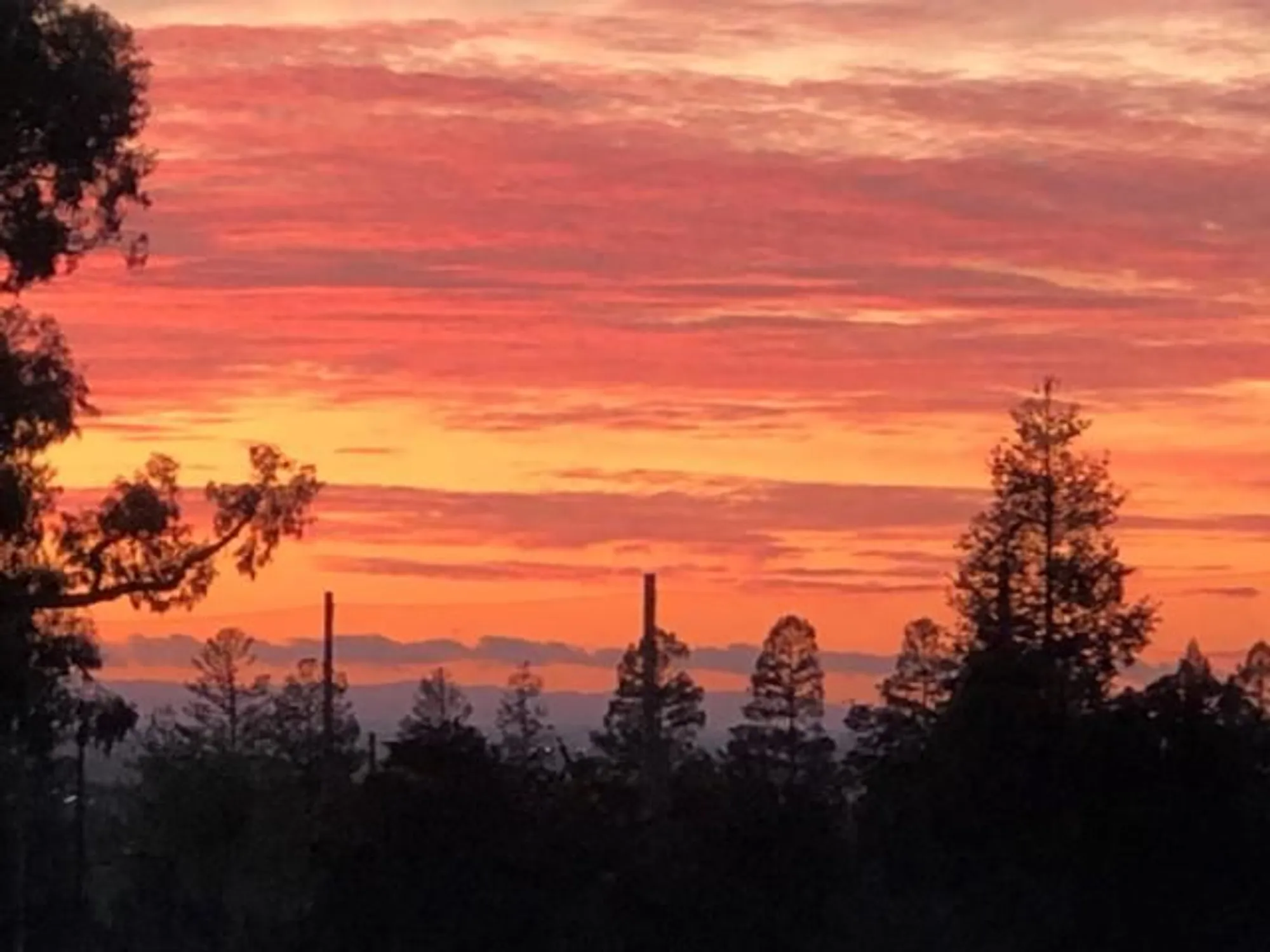 Property Slideshow image 36 of 36 | 7742 kilmarnok dr, San Jose, CA, 95135