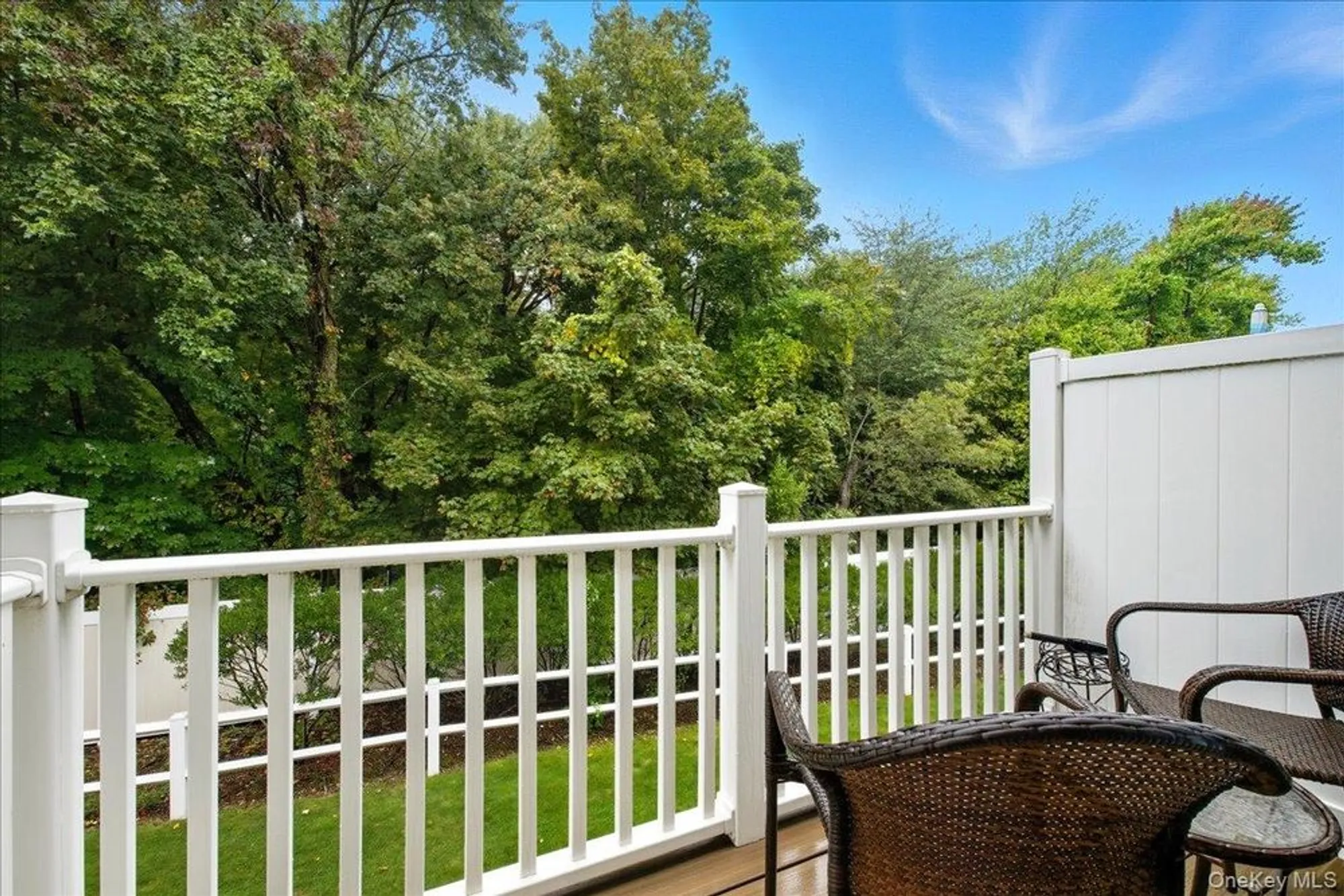 Property Slideshow image 30 of 36 | 133 spring dr # 133, East Meadow, NY, 11554