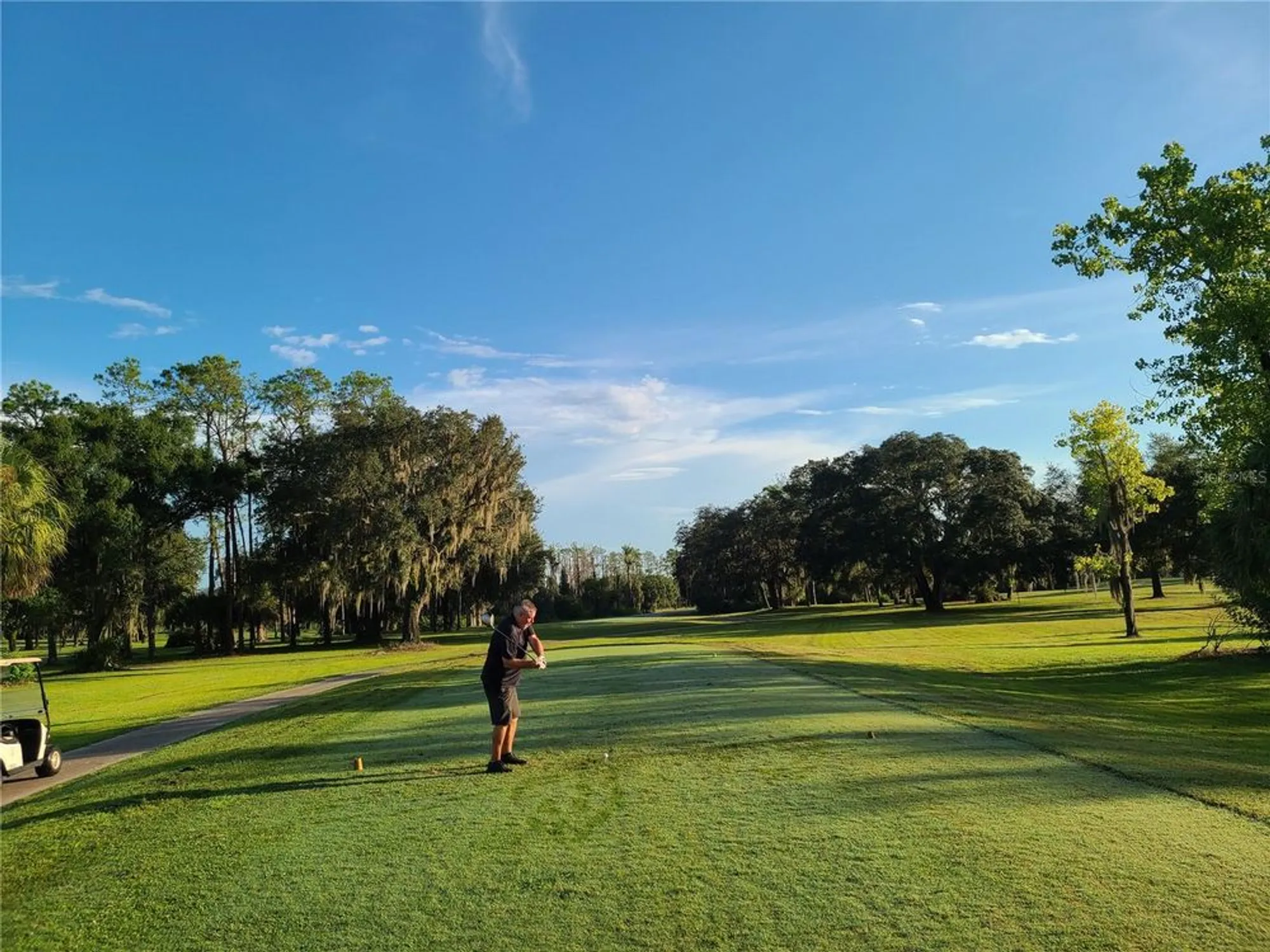 Property Slideshow image 60 of 65 | 3076 eastland blvd 106, Clearwater, FL, 33761