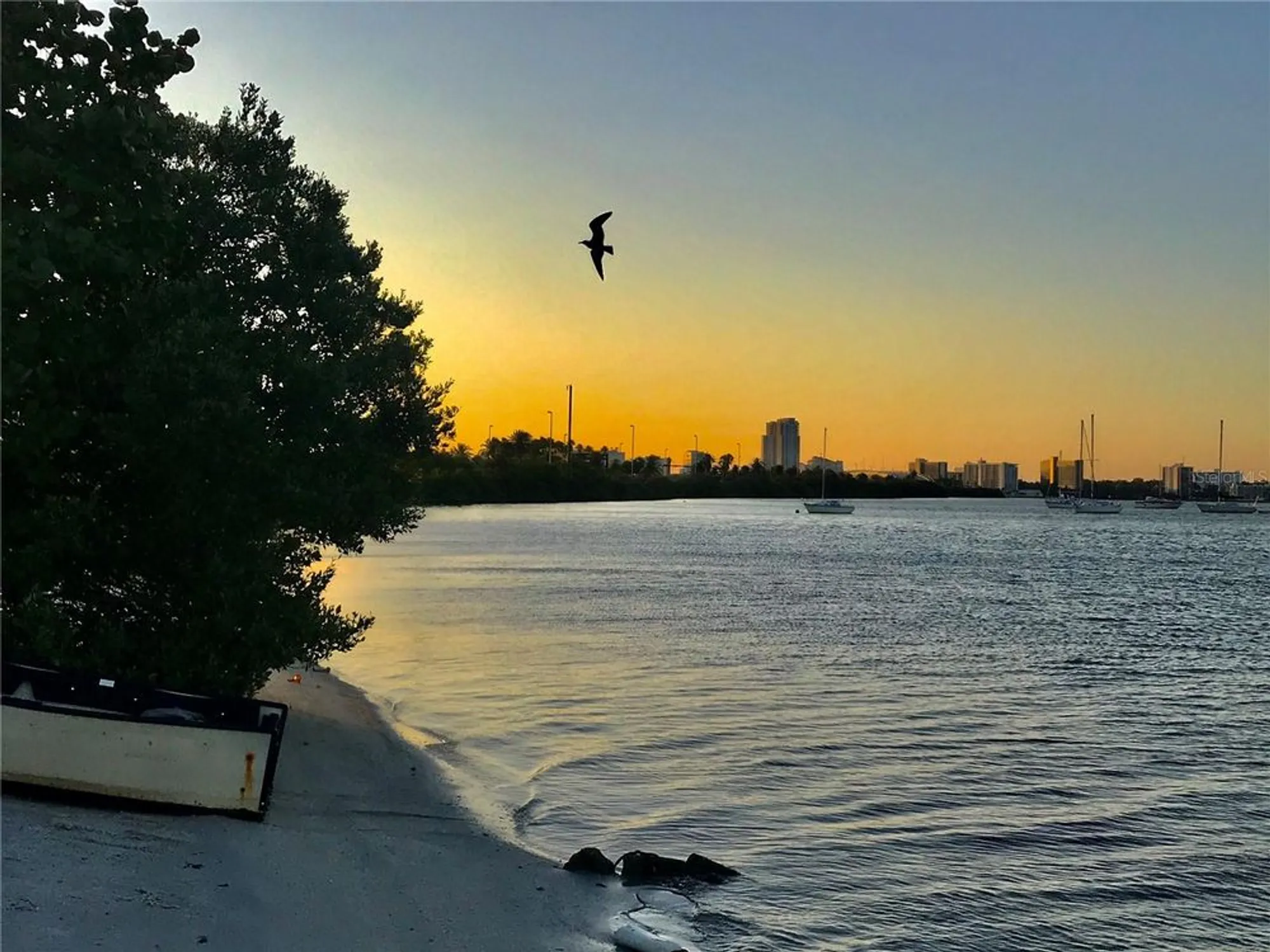 Property Slideshow image 32 of 38 | 2254 norwegian dr 46, Clearwater, FL, 33763