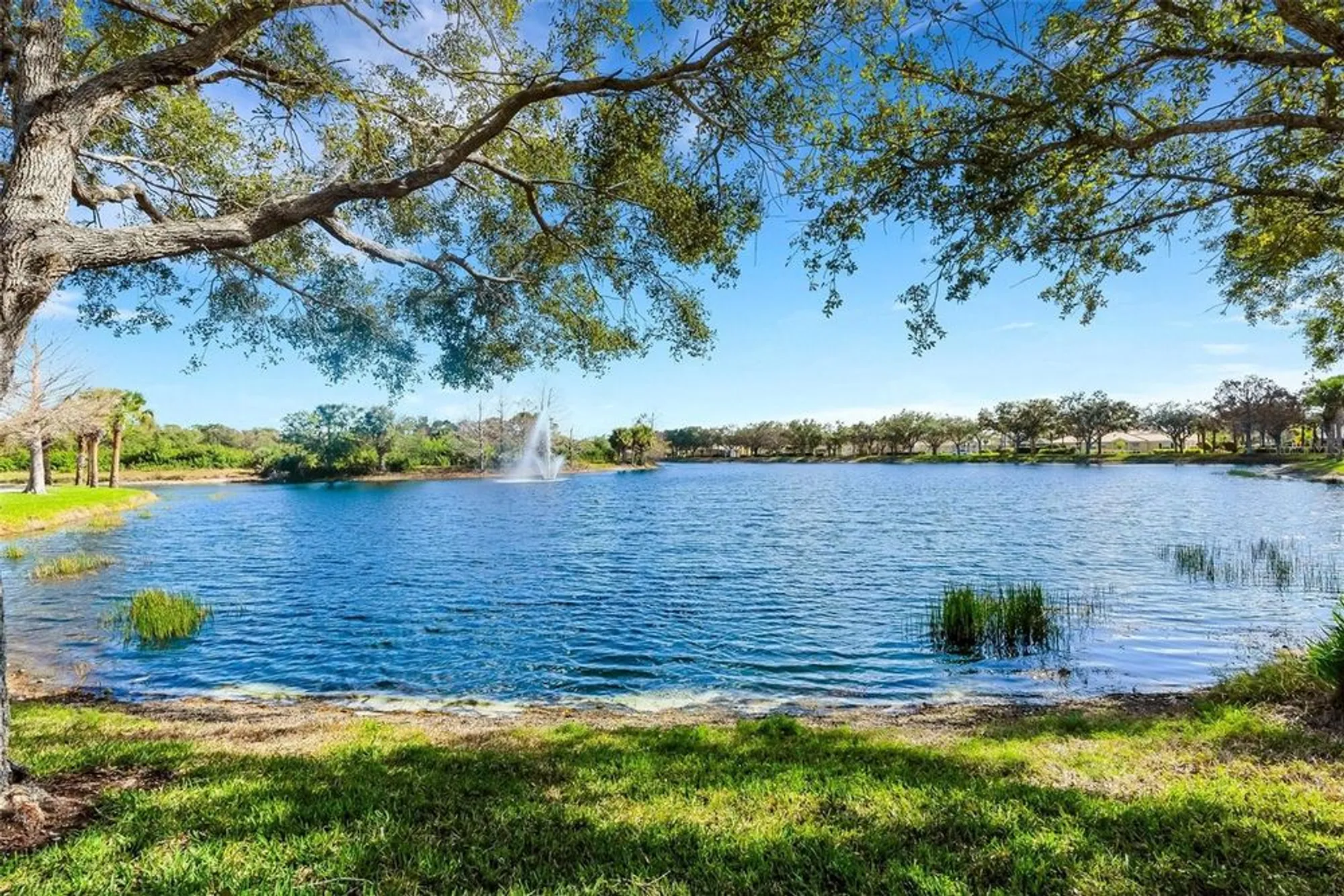 Property Slideshow image 44 of 54 | 7812 bergamo ave, Sarasota, FL, 34238