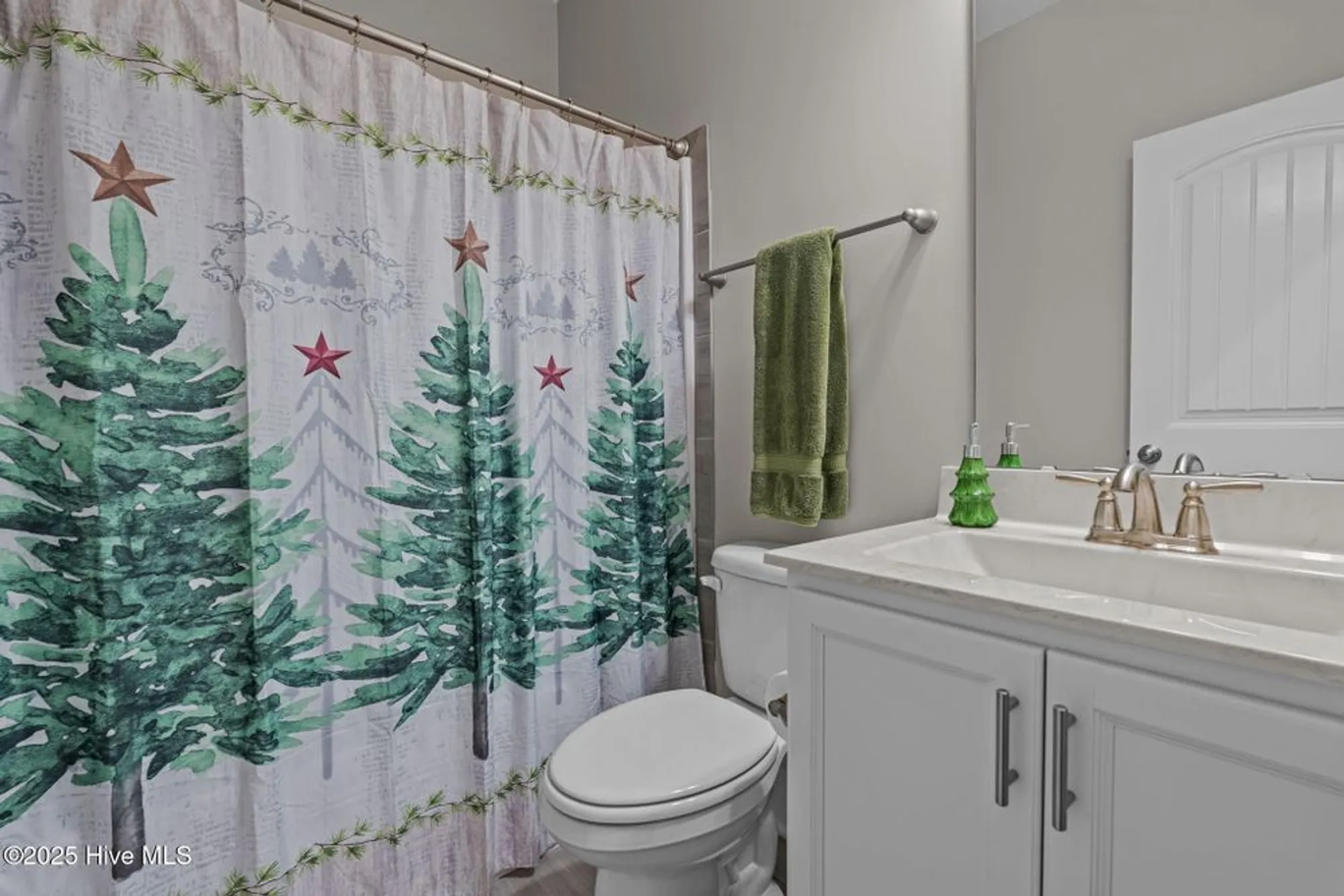 Property Slideshow image 30 of 59 | 522 pondpine ln, Carthage, NC, 28327