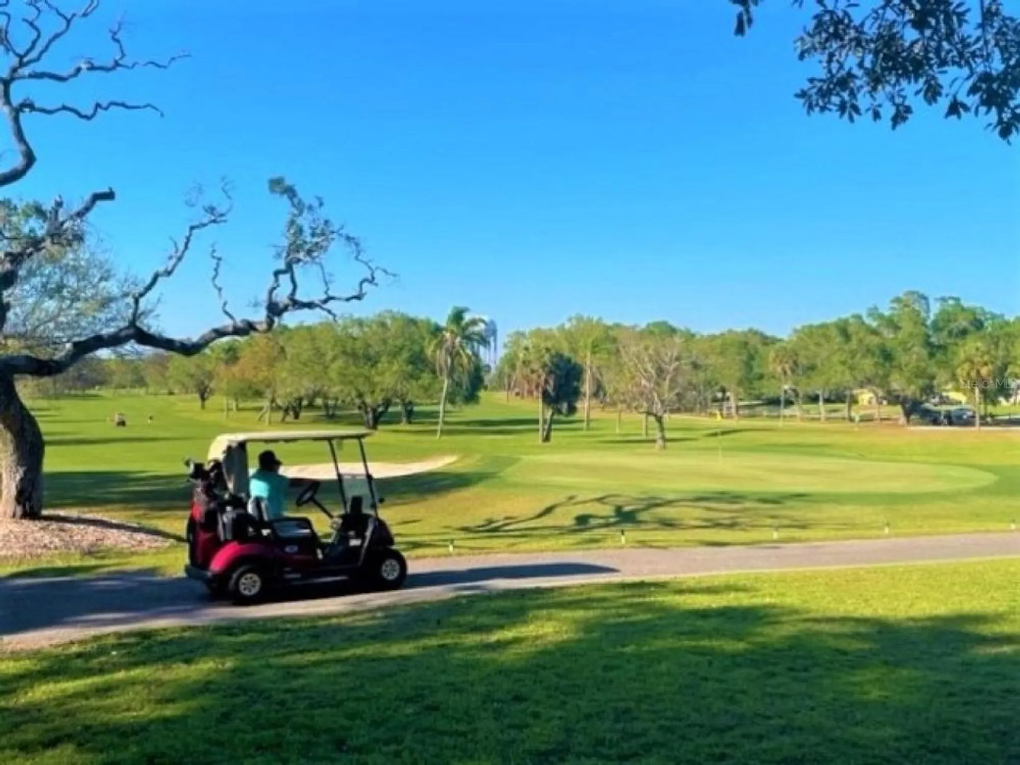 Property Slideshow image 55 of 84 | 1701 pinehurst rd apt 24b, Dunedin, FL, 34698