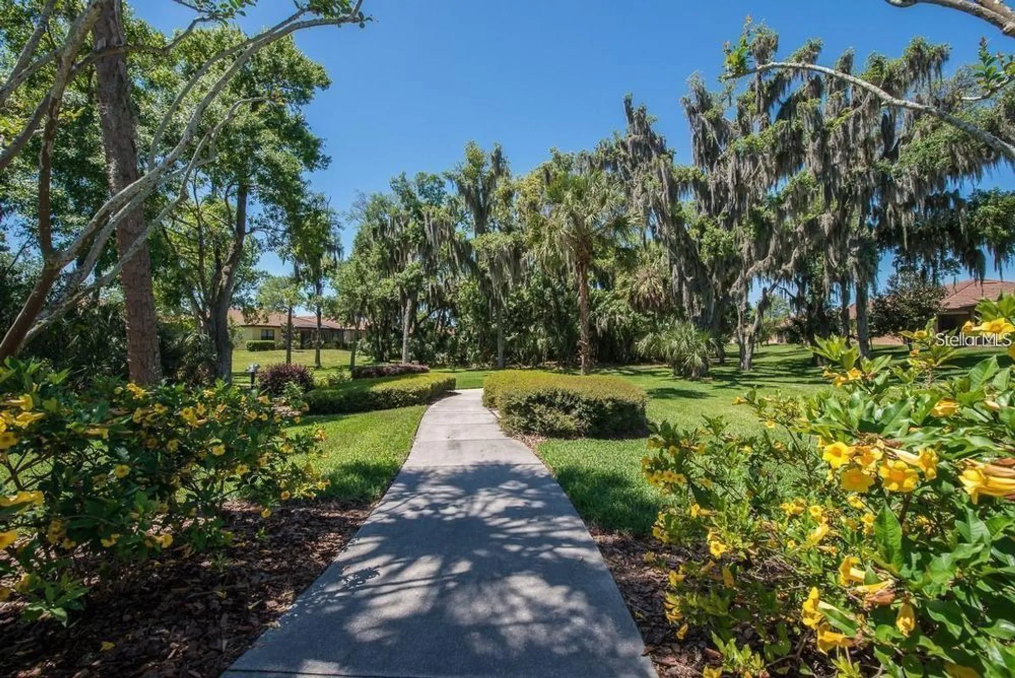 Property Slideshow image 68 of 76 | 331 cedar falls dr, Apollo Beach, FL, 33572