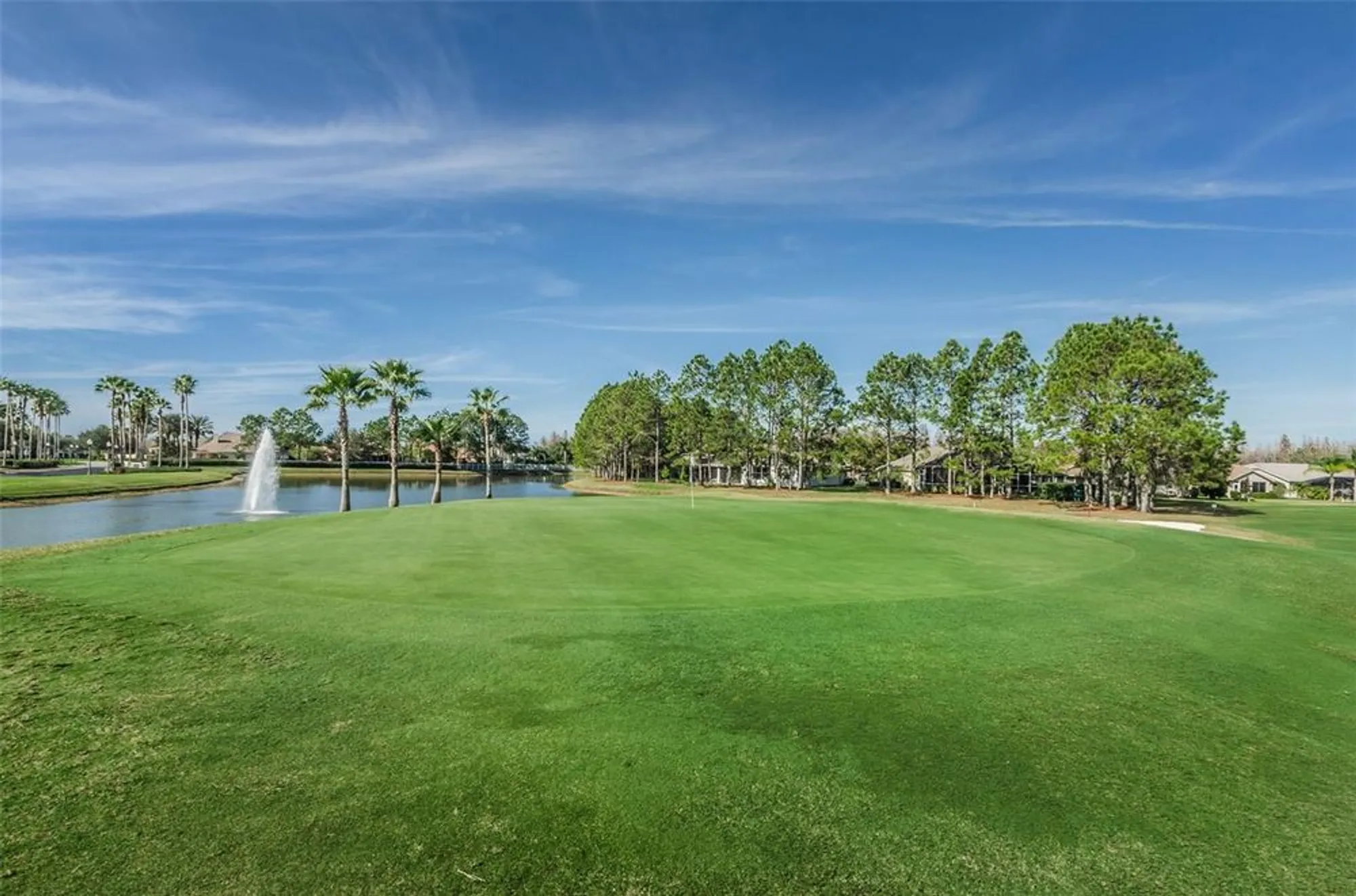 Property Slideshow image 90 of 100 | 1311 eveningside ct, Trinity, FL, 34655