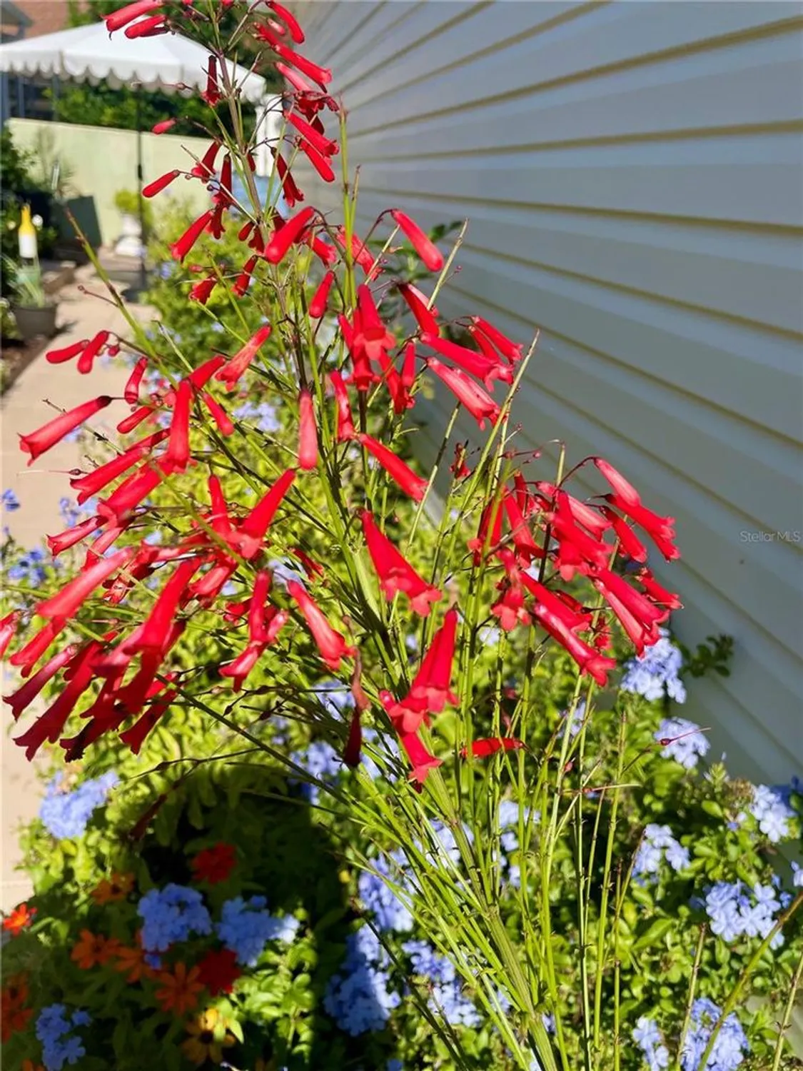 Property Slideshow image 34 of 45 | 17694 se 84th peyton ct, The Villages, FL, 32162