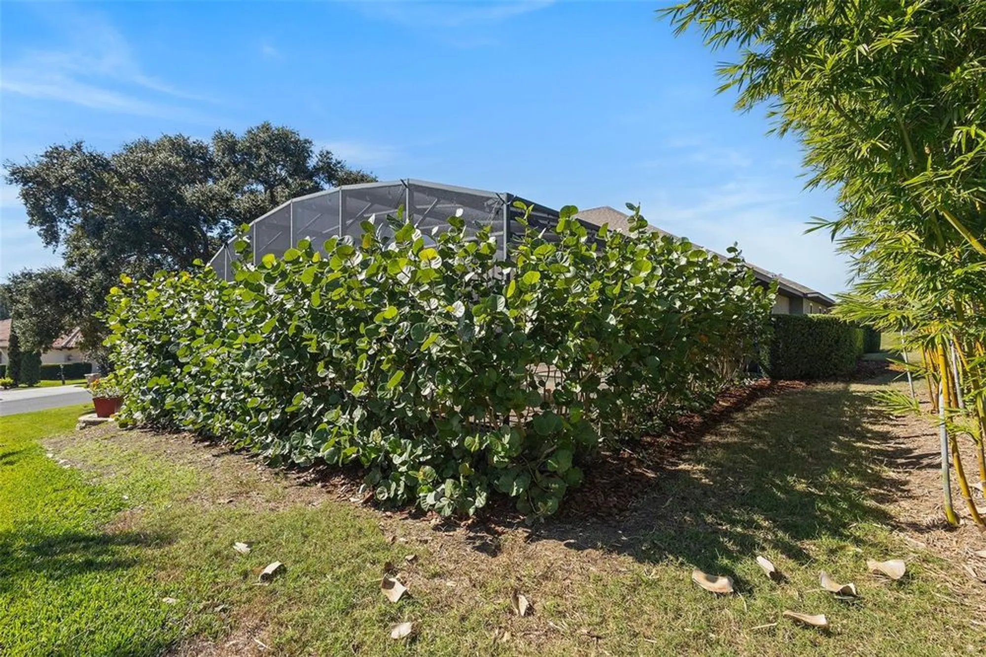 Property Slideshow image 42 of 47 | 39500 hillrise ln, Lady Lake, FL, 32159