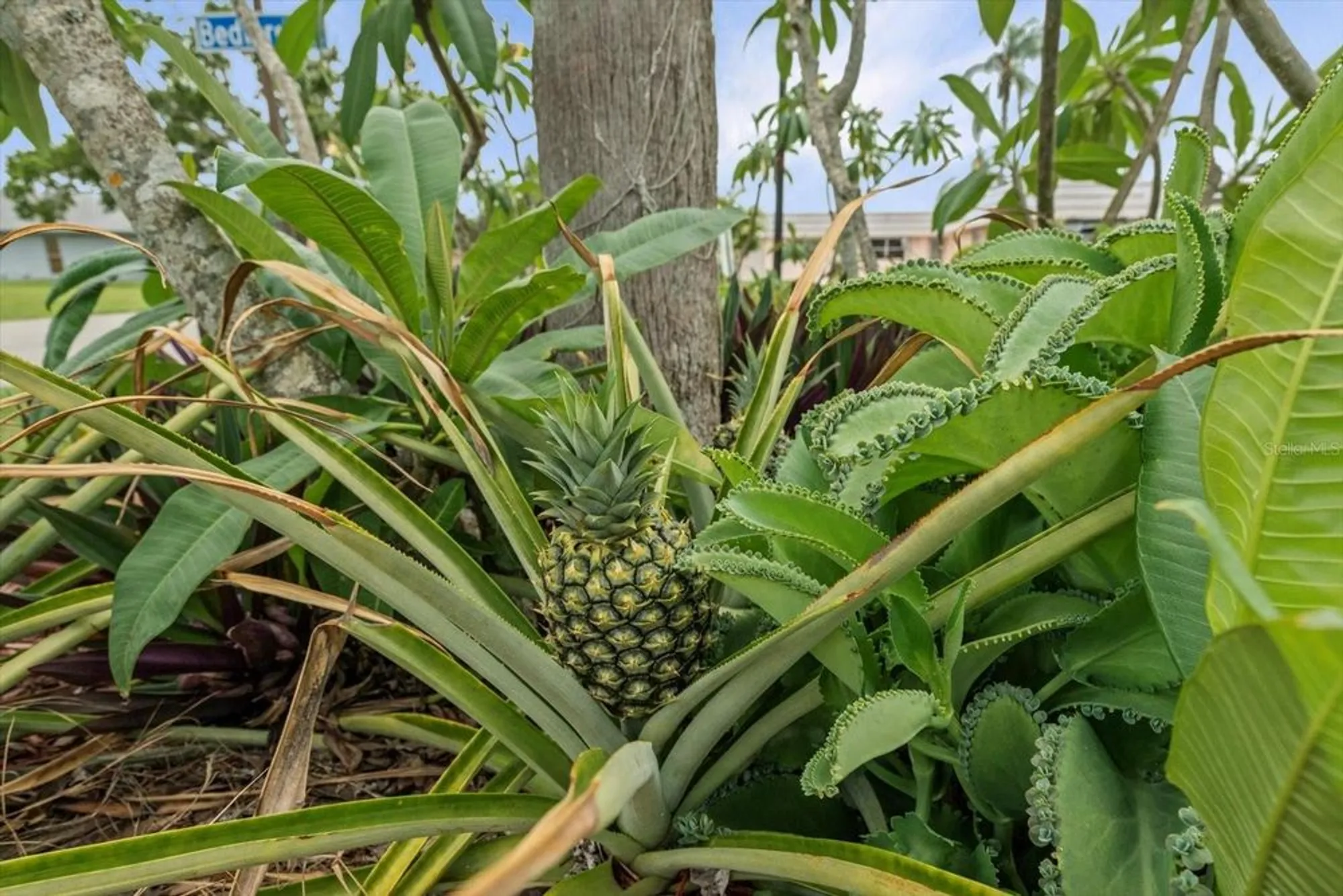 Property Slideshow image 17 of 19 | 202 bedford trl apt 120, Sun City Center, FL, 33573