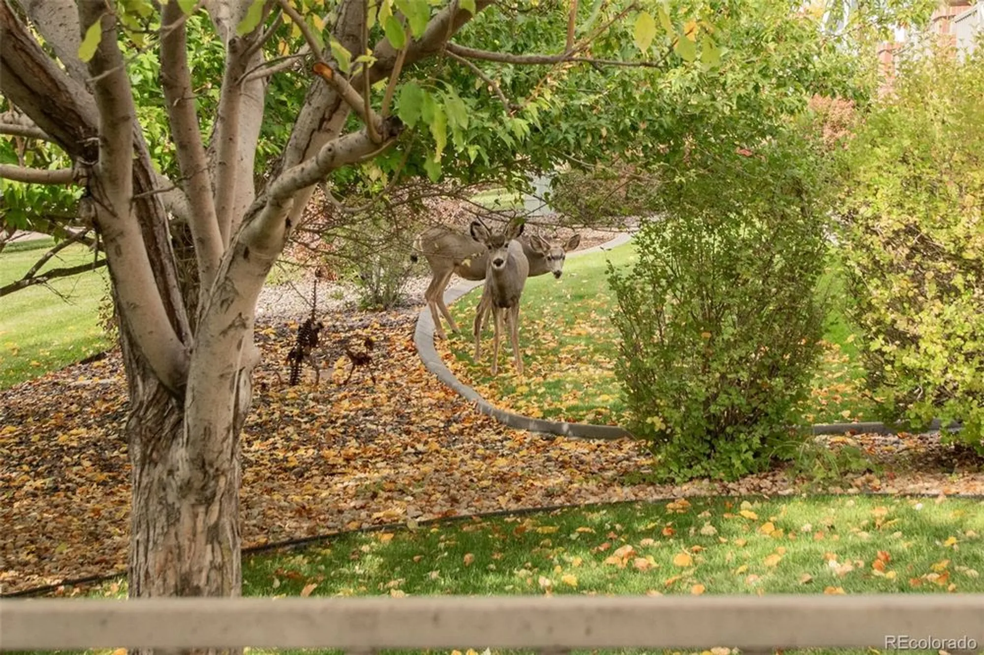 Property Slideshow image 47 of 47 | 23562 e phillips pl, Aurora, CO, 80016