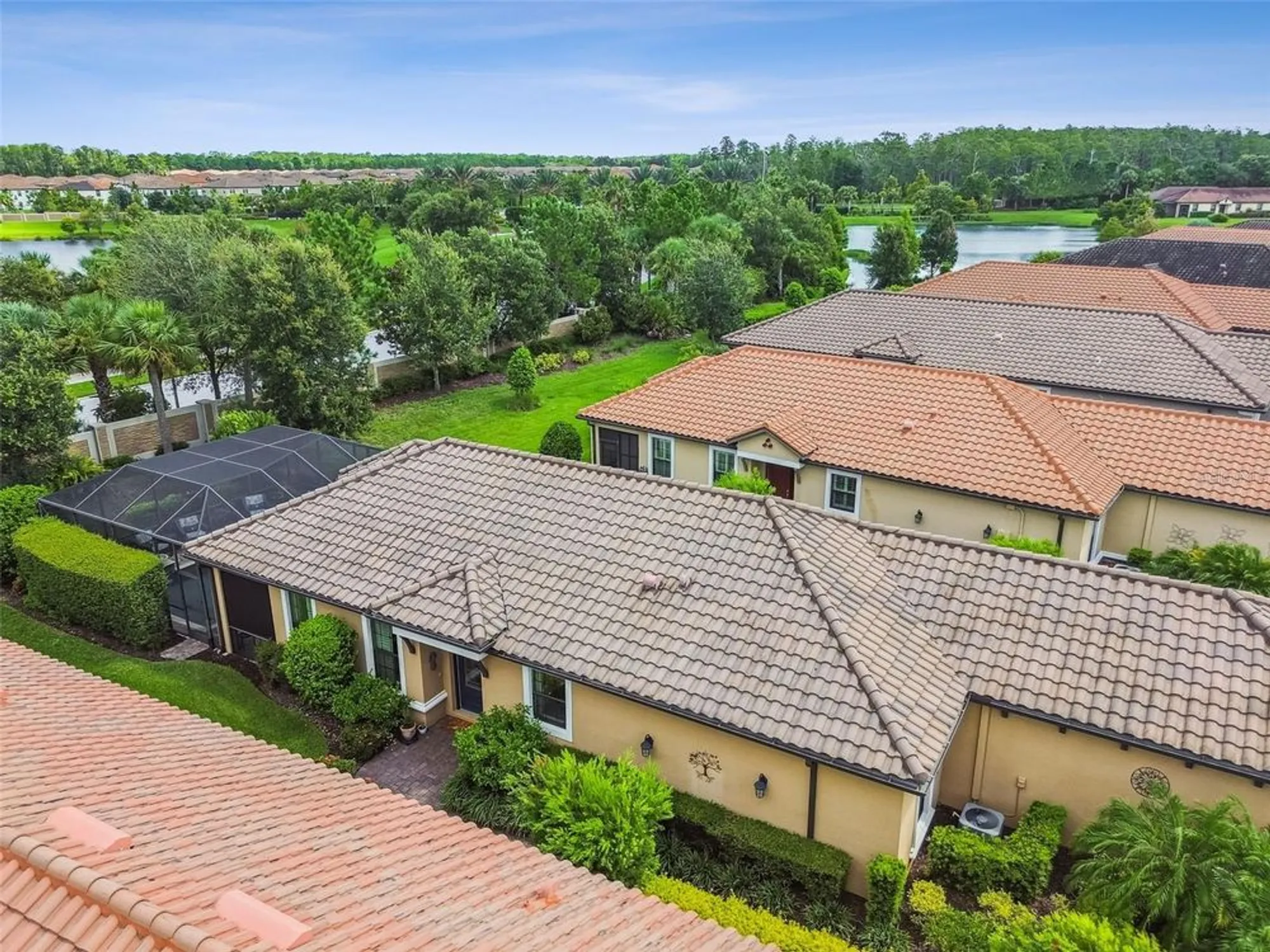 Property Slideshow image 59 of 70 | 11551 callisia dr, Odessa, FL, 33556