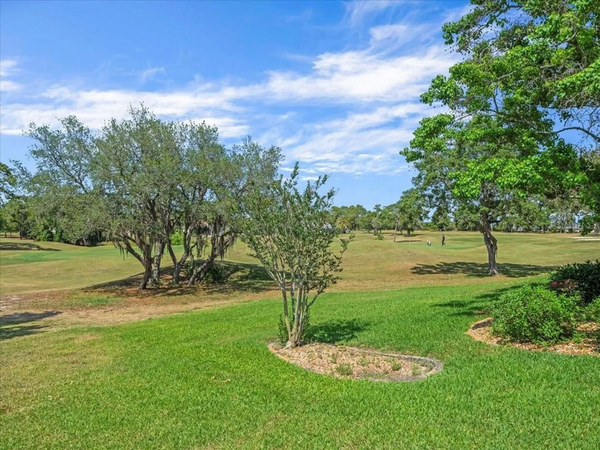 Property Slideshow image 51 of 66 | 9216 tarleton cir, Weeki Wachee, FL, 34613