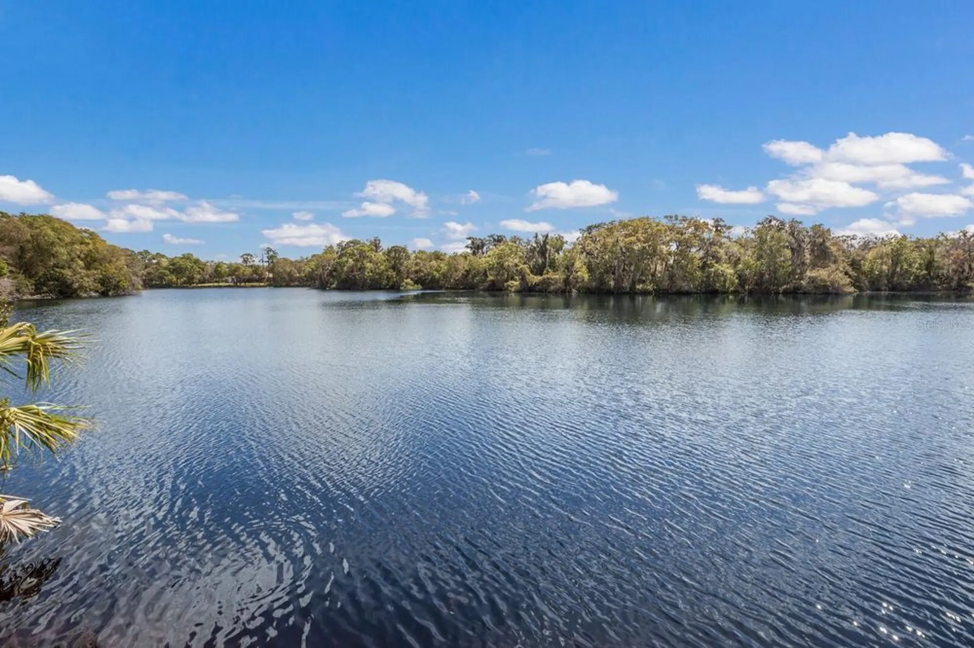 Property Slideshow image 45 of 50 | 5508 gardens dr, Sarasota, FL, 34243