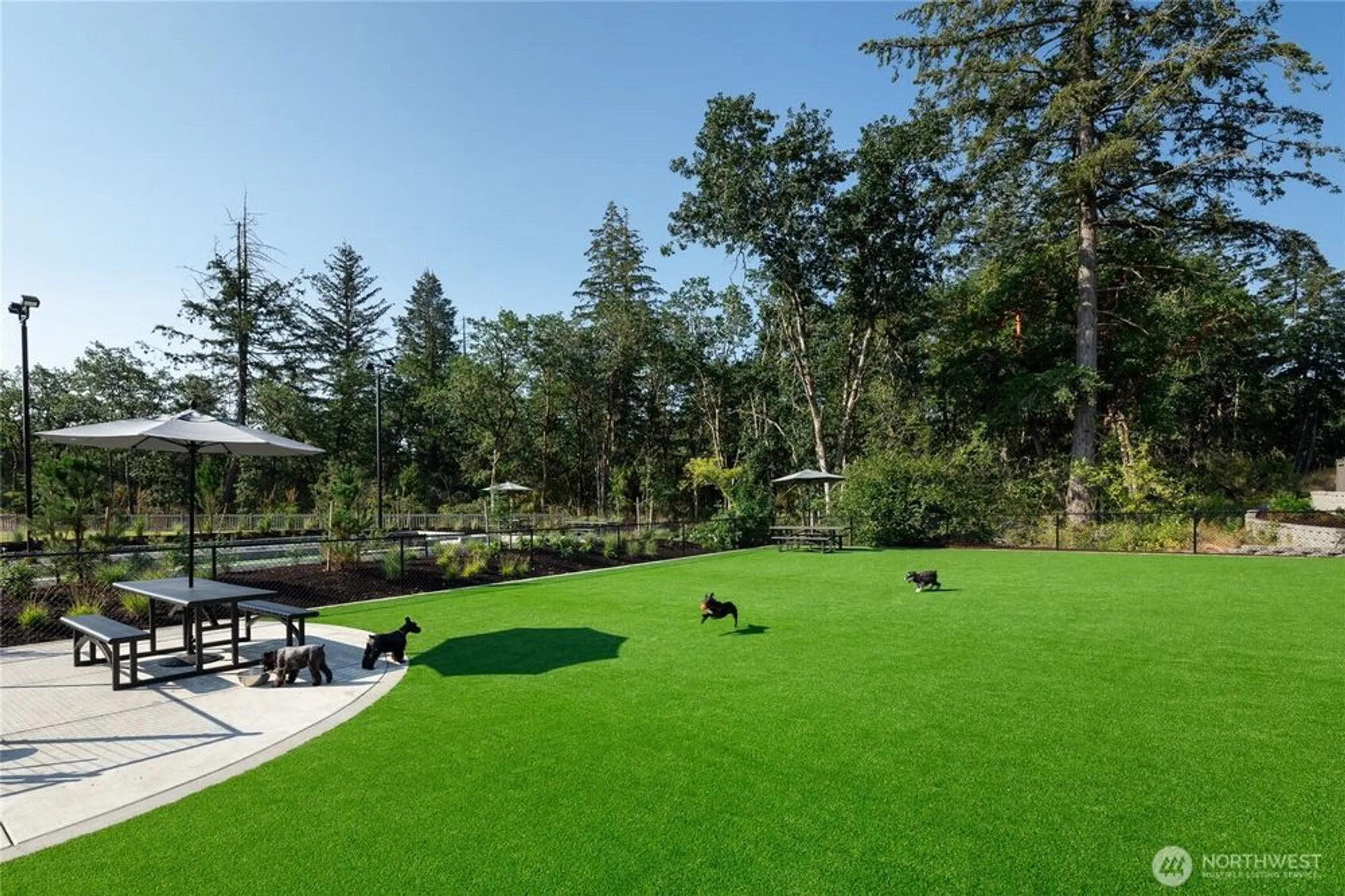 Property Slideshow image 9 of 19 | 2945 balsamroot dr se, Lacey, WA, 98513