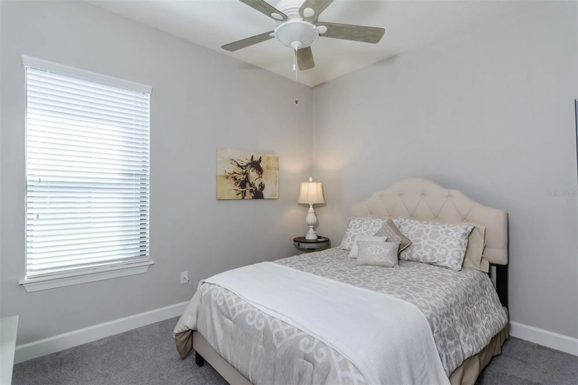 Property Slideshow image 37 of 72 | 11740 bitola dr, Odessa, FL, 33556