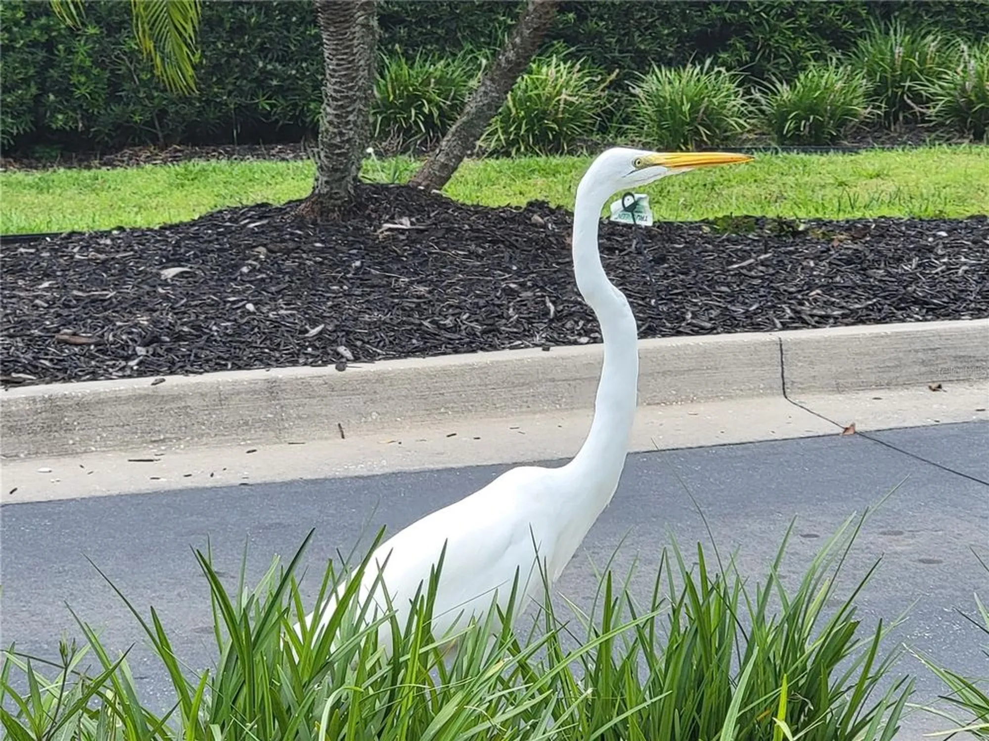 Property Slideshow image 73 of 76 | 4712 belle grv, Leesburg, FL, 34748