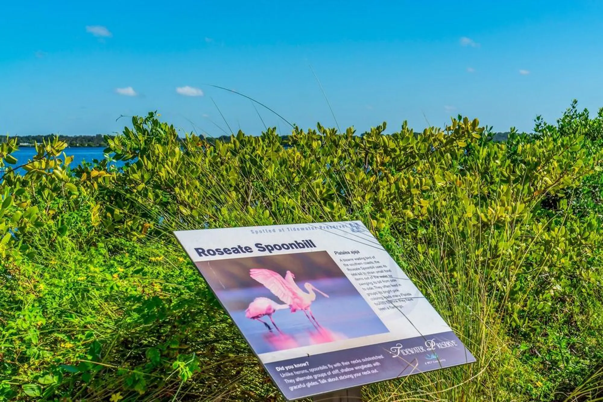 Property Slideshow image 76 of 94 | 5209 lake overlook ave, Bradenton, FL, 34208