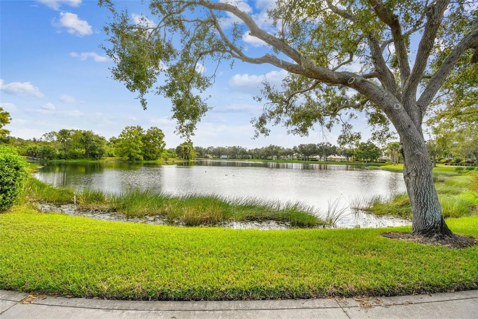 Property Slideshow image 61 of 82 | 5373 eliseo st, Sarasota, FL, 34238