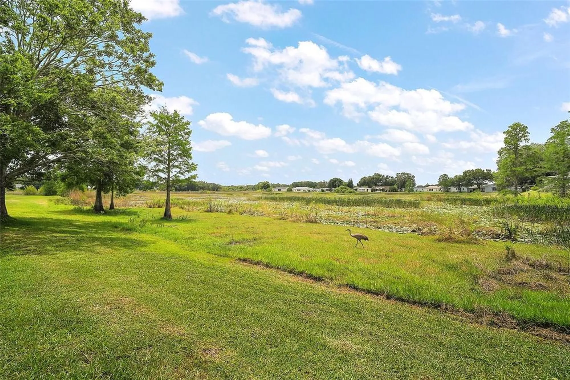 Property Slideshow image 10 of 25 | 5300 tigers tail, Leesburg, FL, 34748