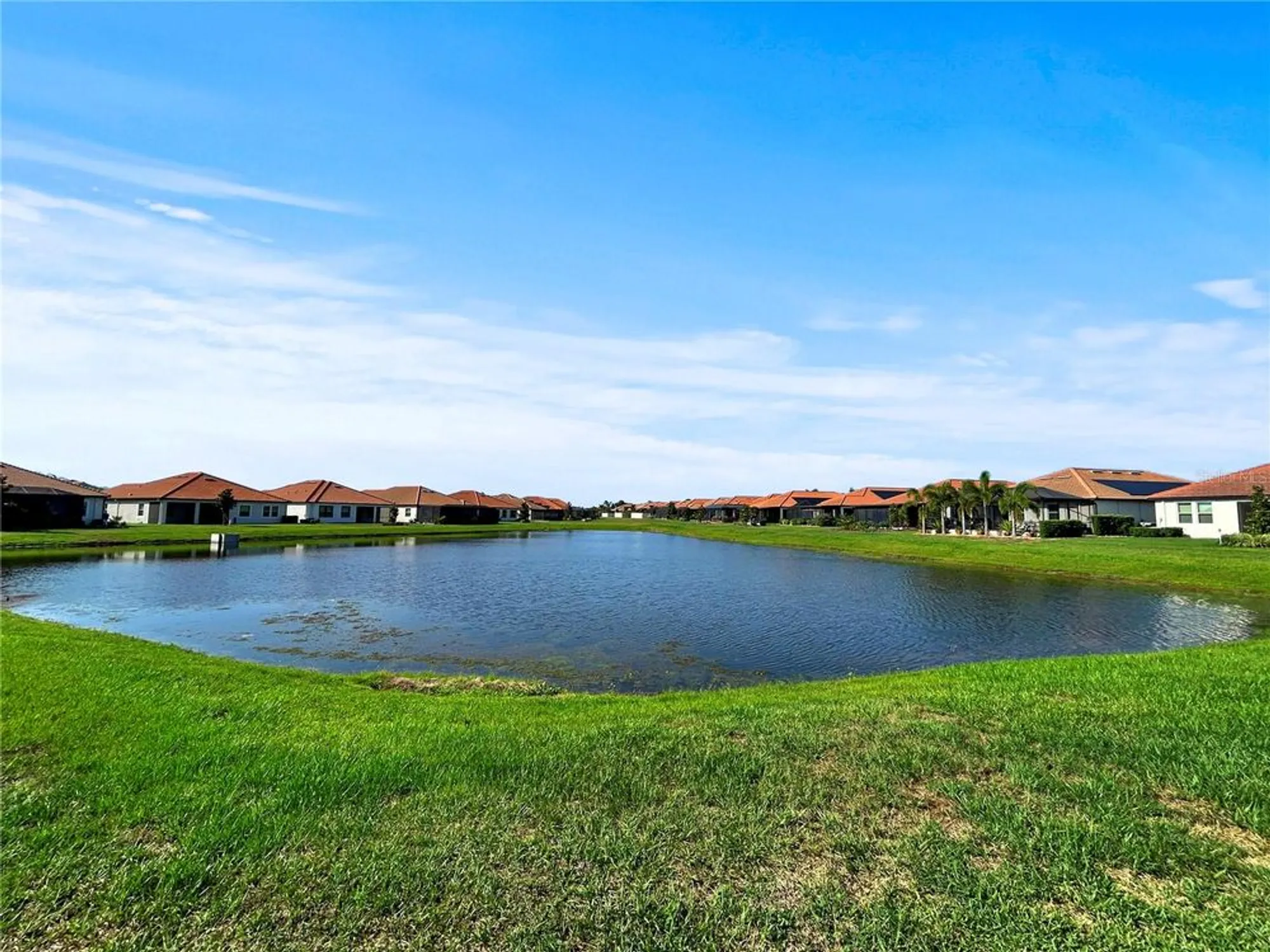 Property Slideshow image 24 of 30 | 16913 anchor root st, Wimauma, FL, 33598