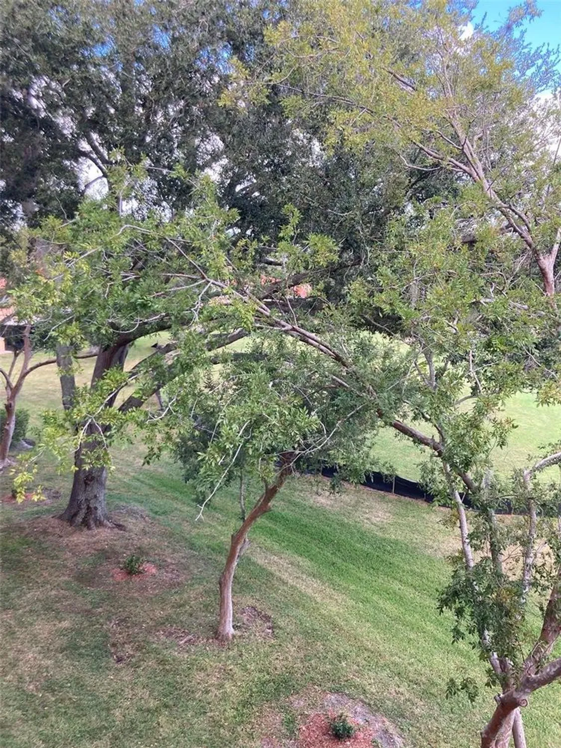 Property Slideshow image 10 of 50 | 8174 terrace garden dr n unit 307, St Petersburg, FL, 33709