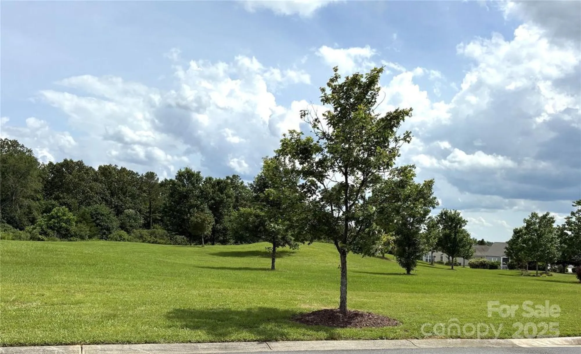 Property Slideshow image 8 of 48 | 31470 royal tern ln, Indian Land, SC, 29707