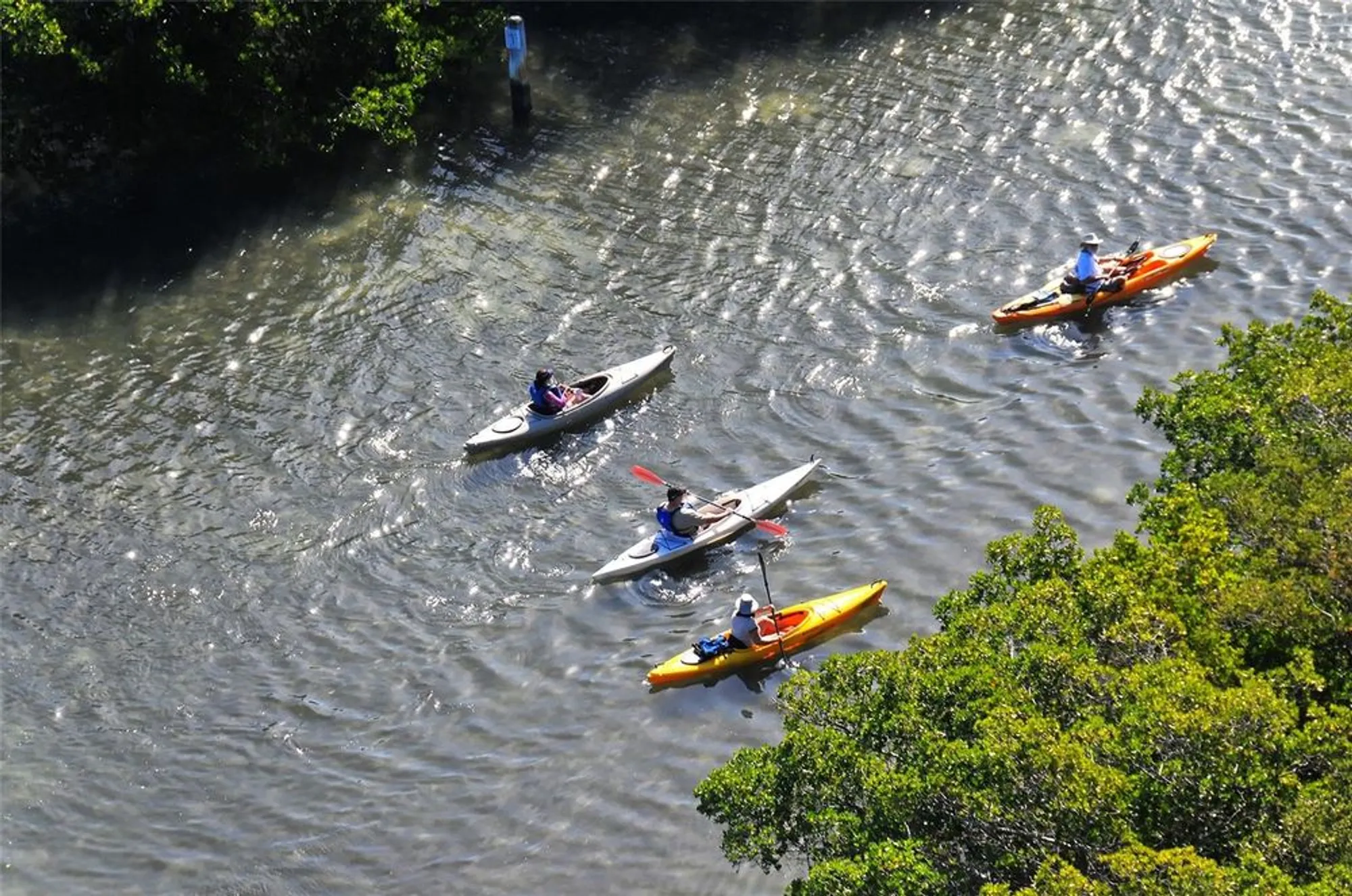 Property Slideshow image 49 of 53 | 5260 heron way # 202, Sarasota, FL, 34231