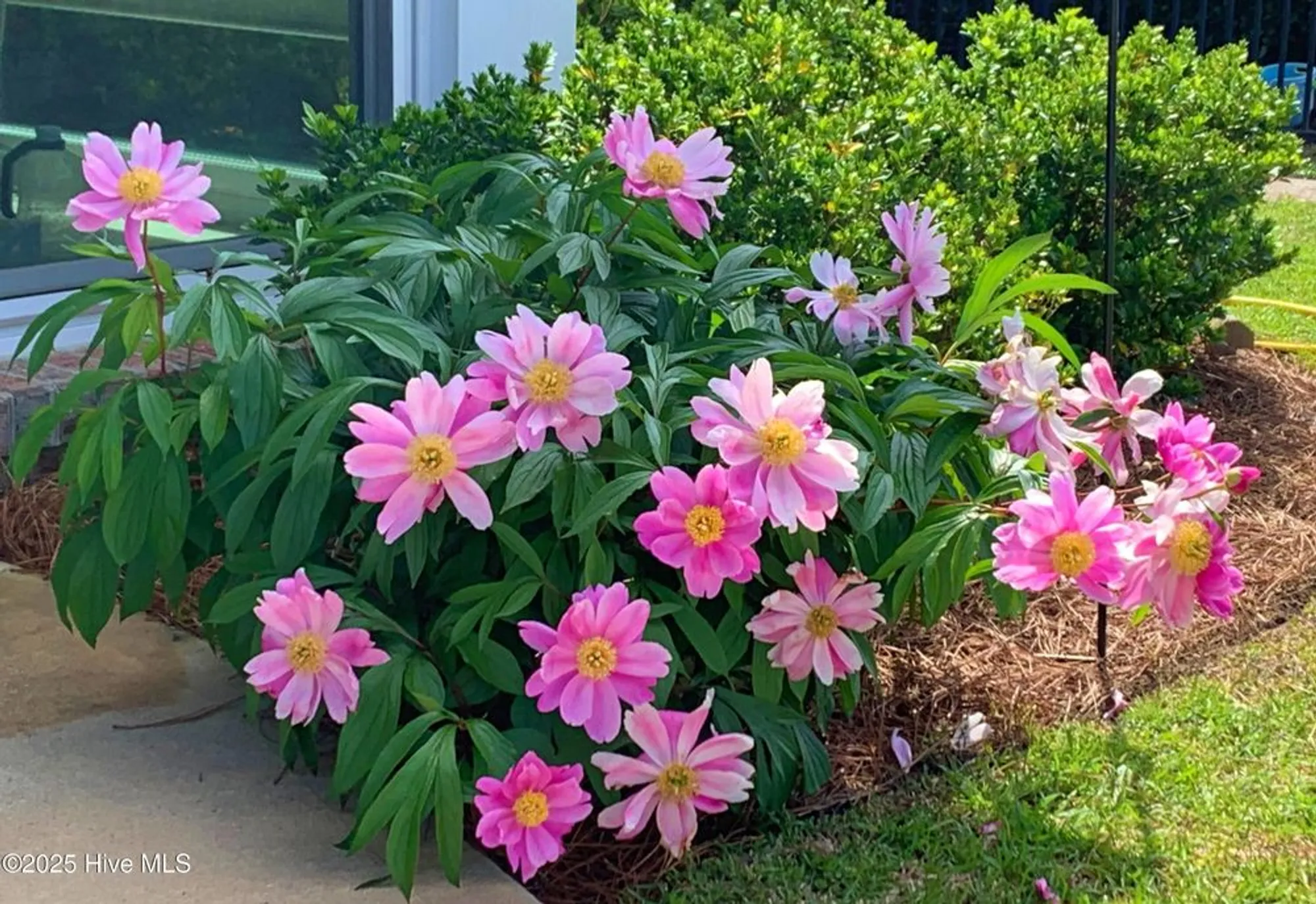 Property Slideshow image 41 of 83 | 2170 talmage dr, Leland, NC, 28451