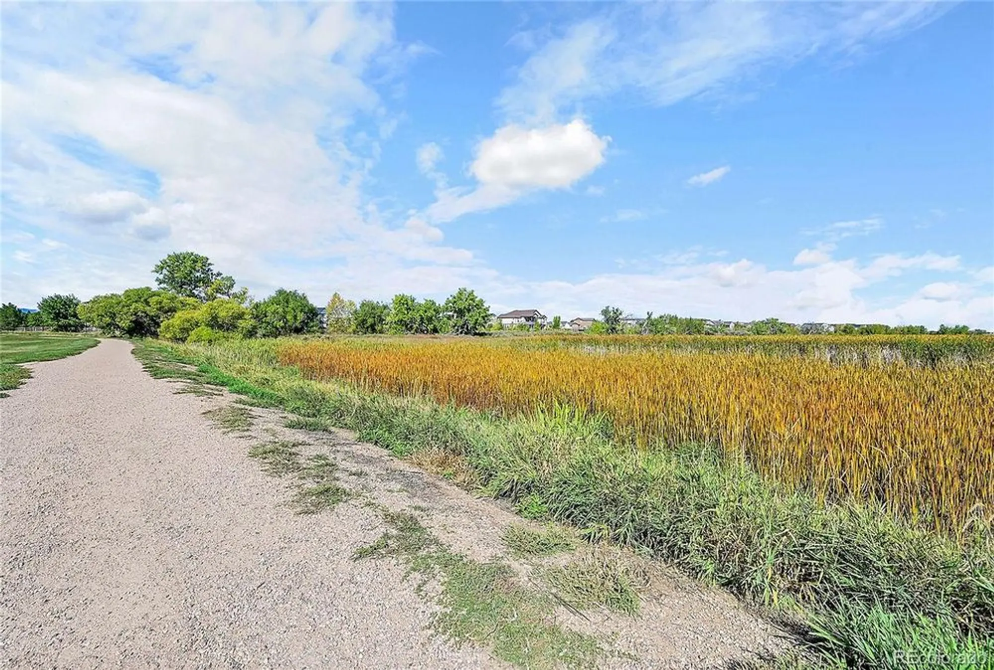 Property Slideshow image 28 of 29 | 4605 hahns peak dr unit 203, Loveland, CO, 80538