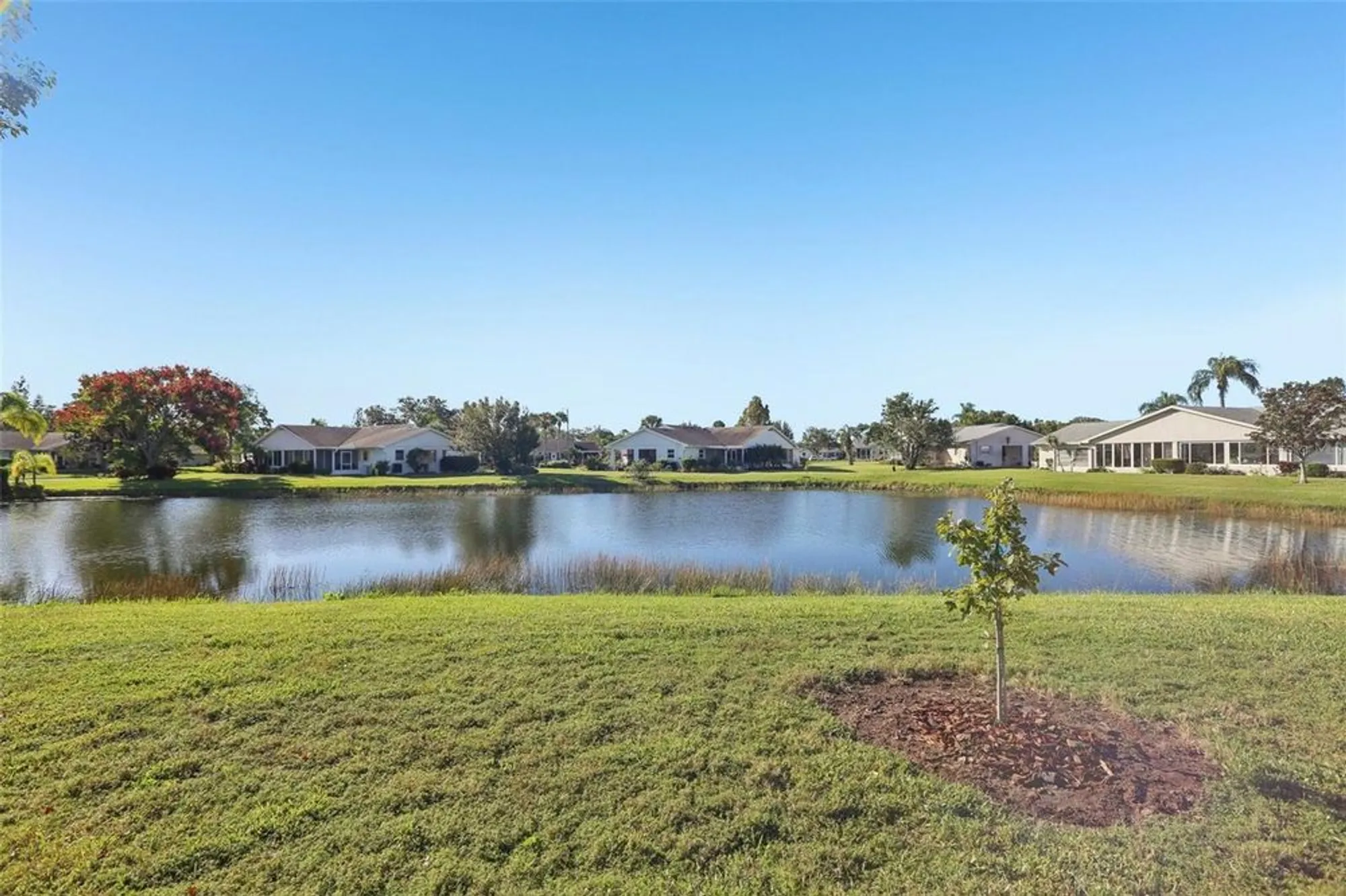 Property Slideshow image 28 of 55 | 2339 glenmore cir, Sun City Center, FL, 33573