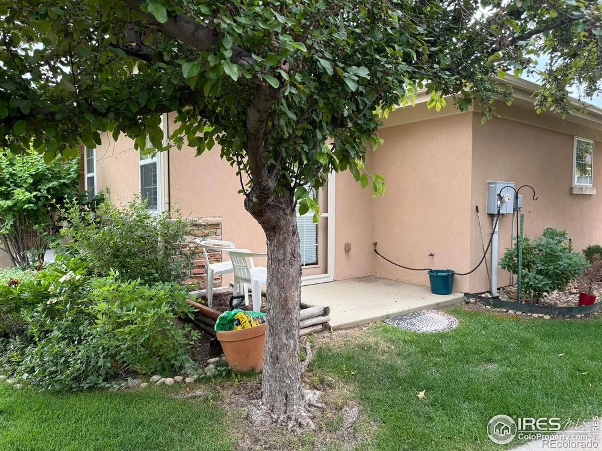 Property Slideshow image 10 of 40 | 1238 finch st, Loveland, CO, 80537