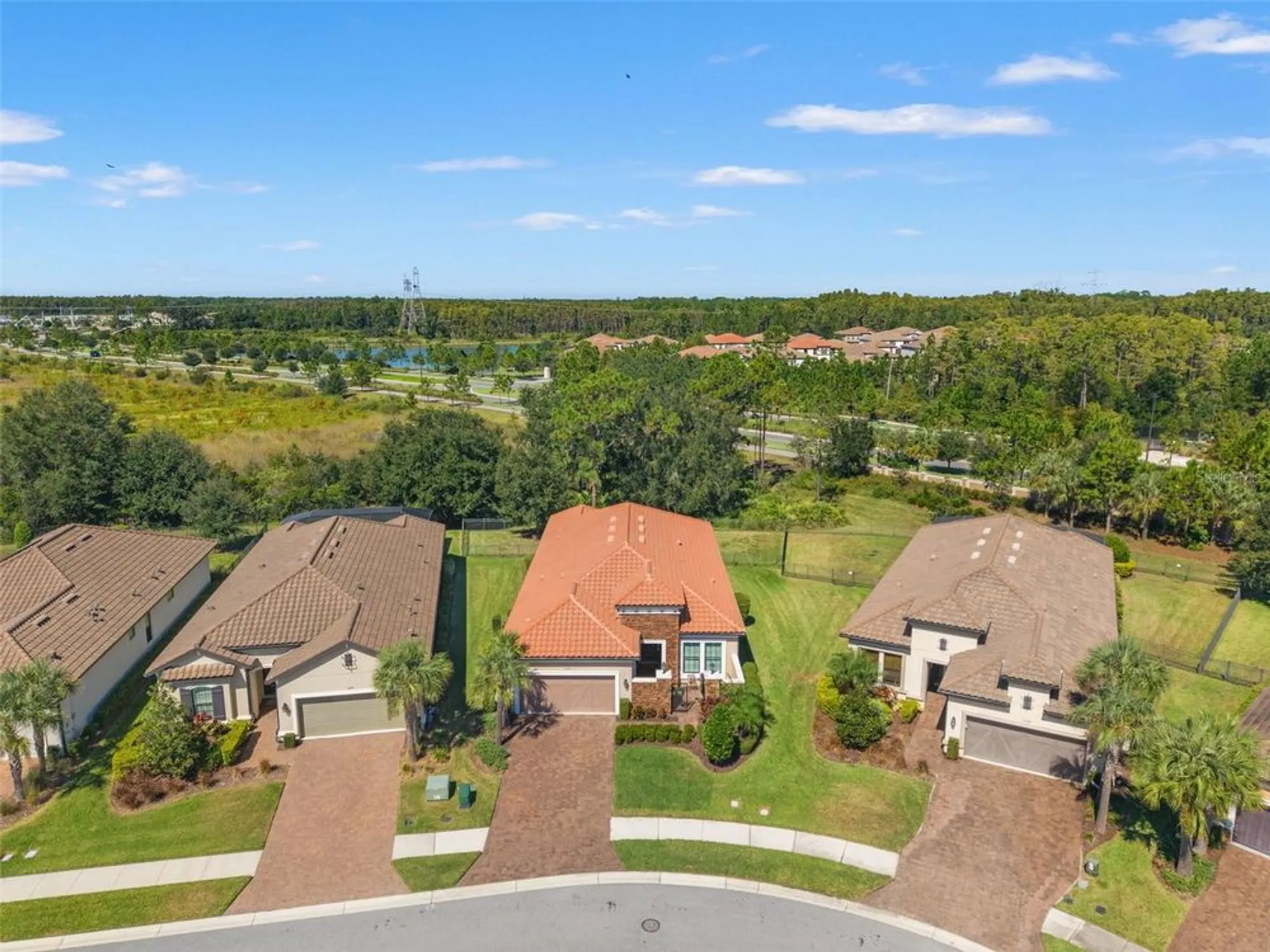 Property Slideshow image 63 of 76 | 11295 juglans dr, Odessa, FL, 33556