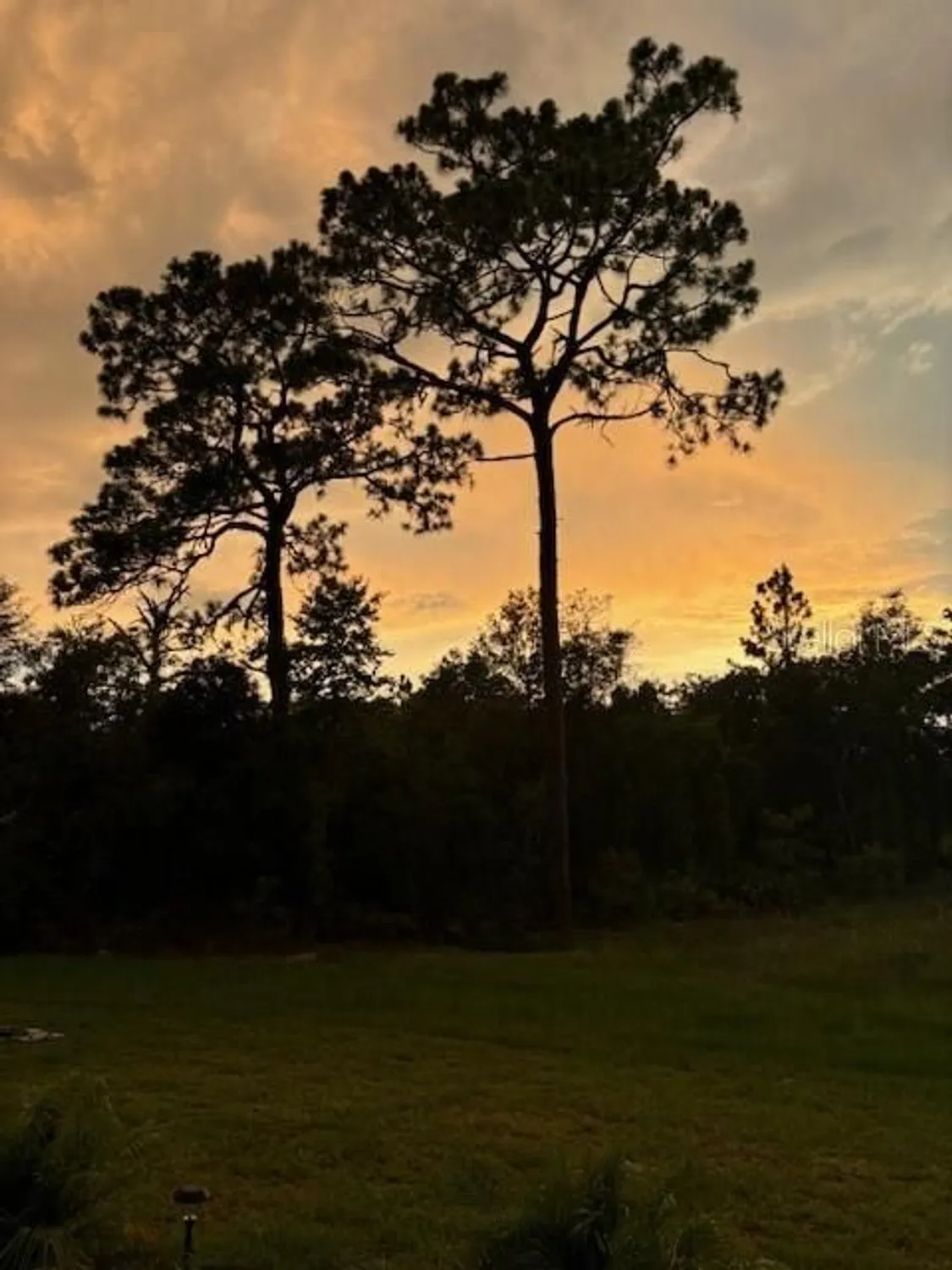 Property Slideshow image 45 of 45 | 9746 sw 108th terrace rd, Ocala, FL, 34481