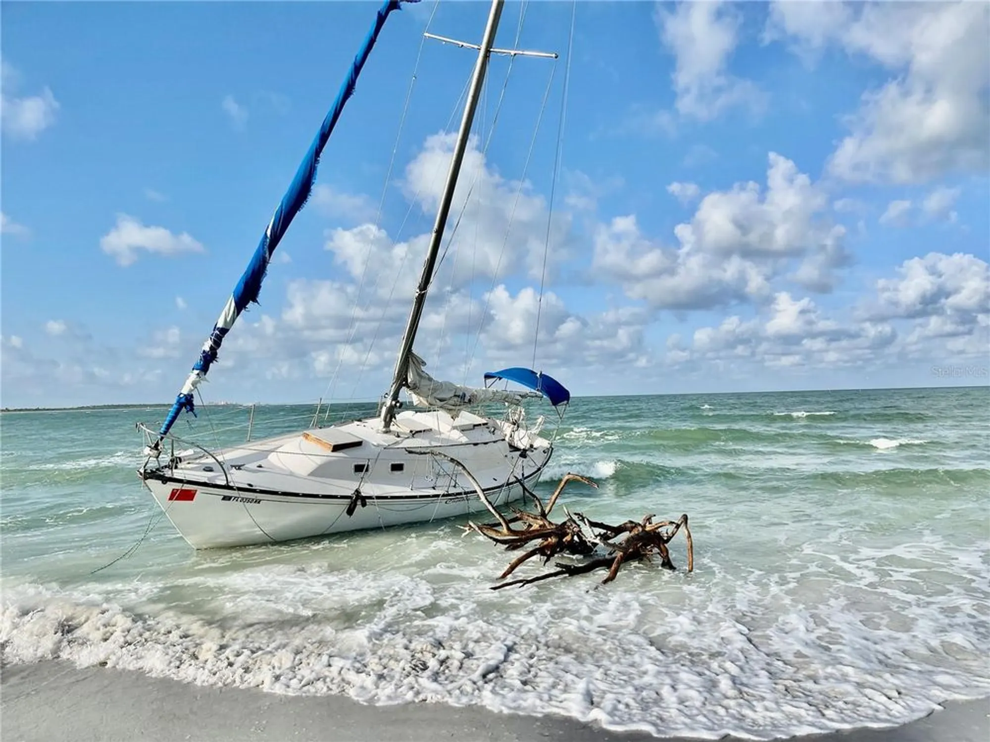 Property Slideshow image 35 of 38 | 2254 norwegian dr 46, Clearwater, FL, 33763