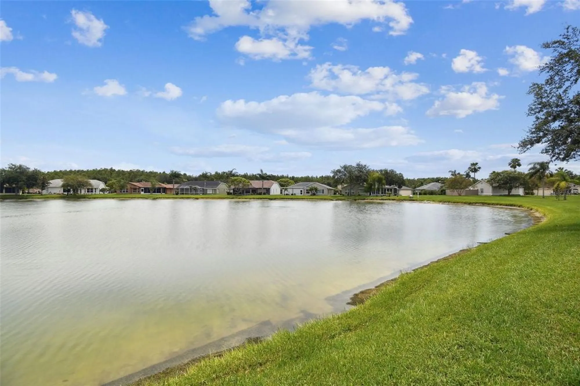 Property Slideshow image 38 of 59 | 1228 ashbourne cir, Trinity, FL, 34655