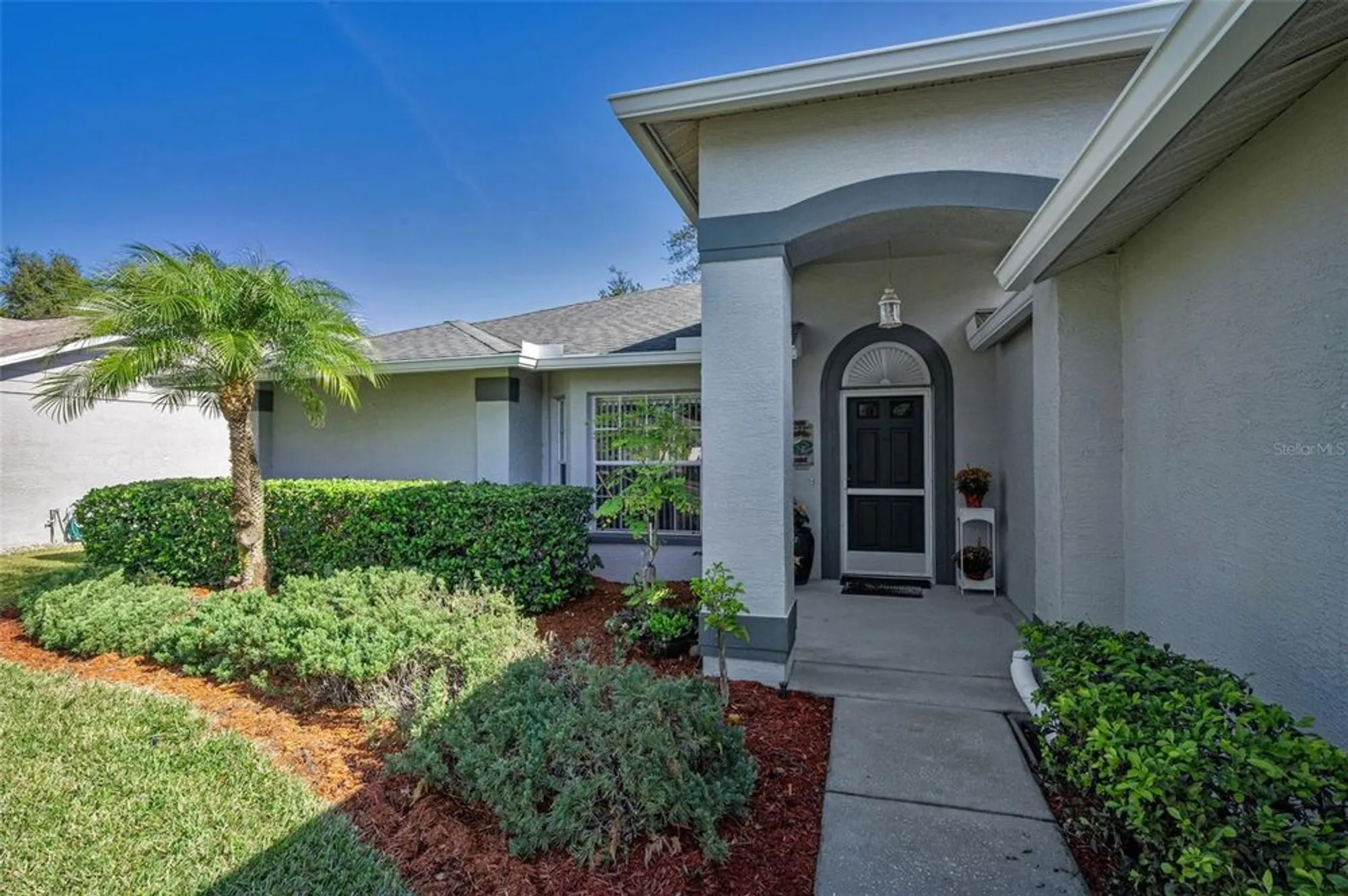 Property Slideshow image 10 of 100 | 1136 almondwood dr, Trinity, FL, 34655