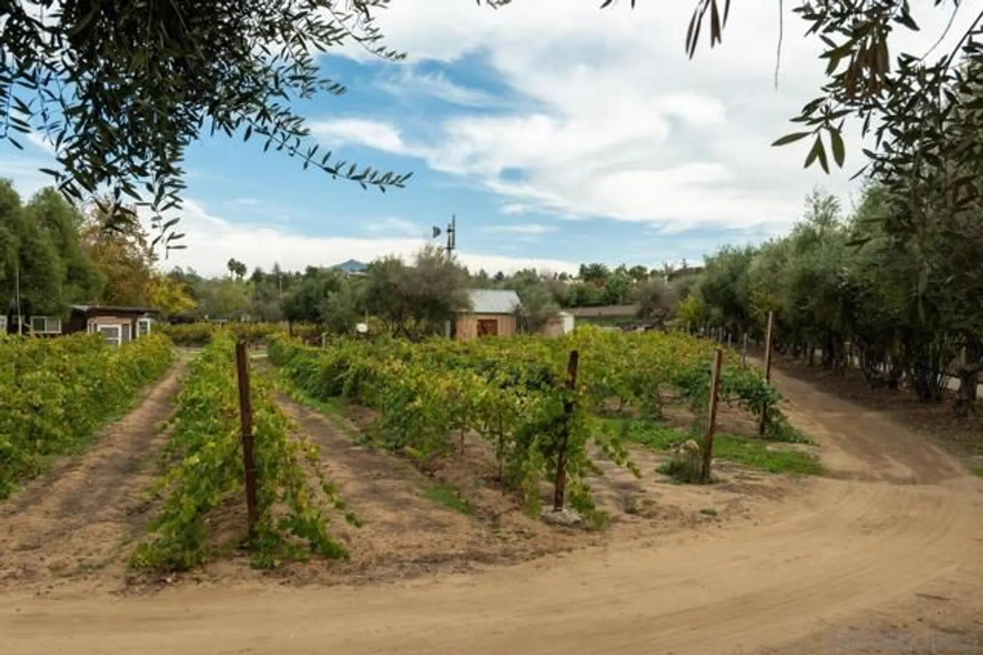 Property Slideshow image 48 of 68 | 12872 circulo dardo, San Diego, CA, 92128