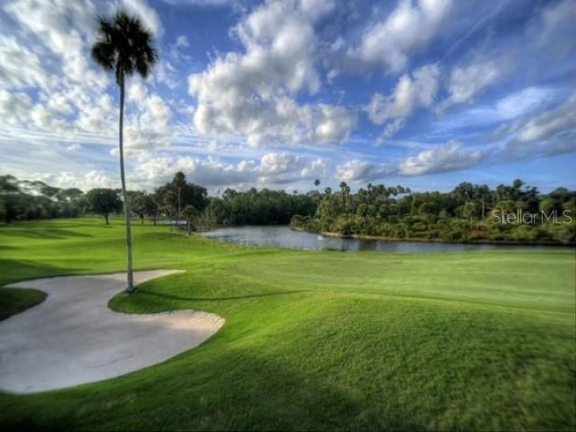 Property Slideshow image 58 of 84 | 1701 pinehurst rd apt 24b, Dunedin, FL, 34698