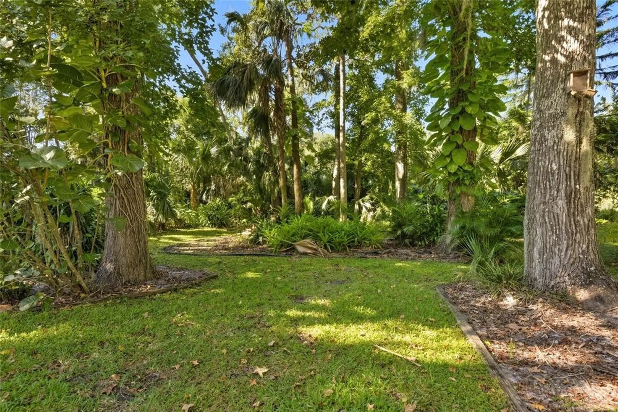 Property Slideshow image 51 of 66 | 3908 tano dr, Ormond Beach, FL, 32174